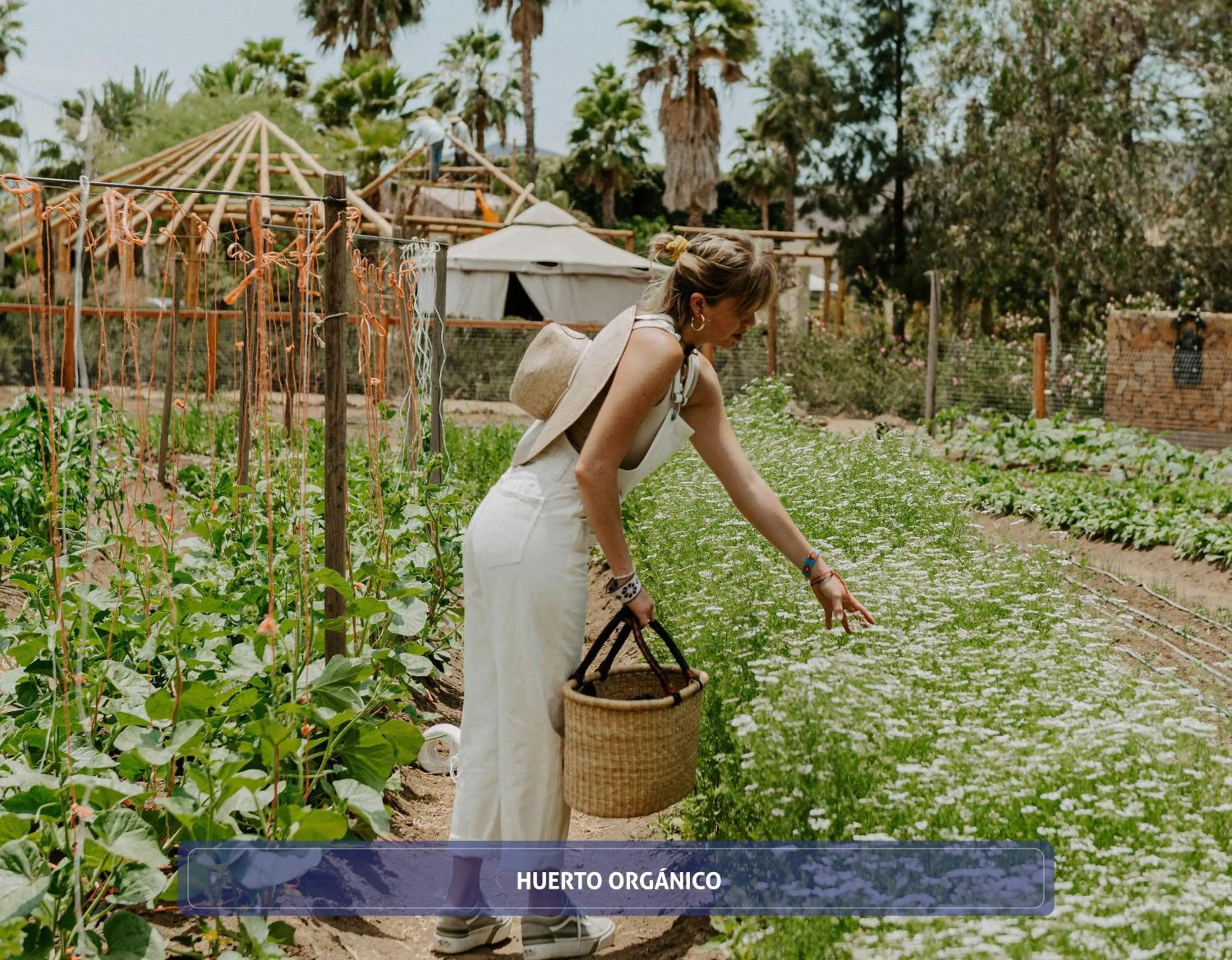People in Entre Viñedos by Hotel Boutique Valle de Guadalupe