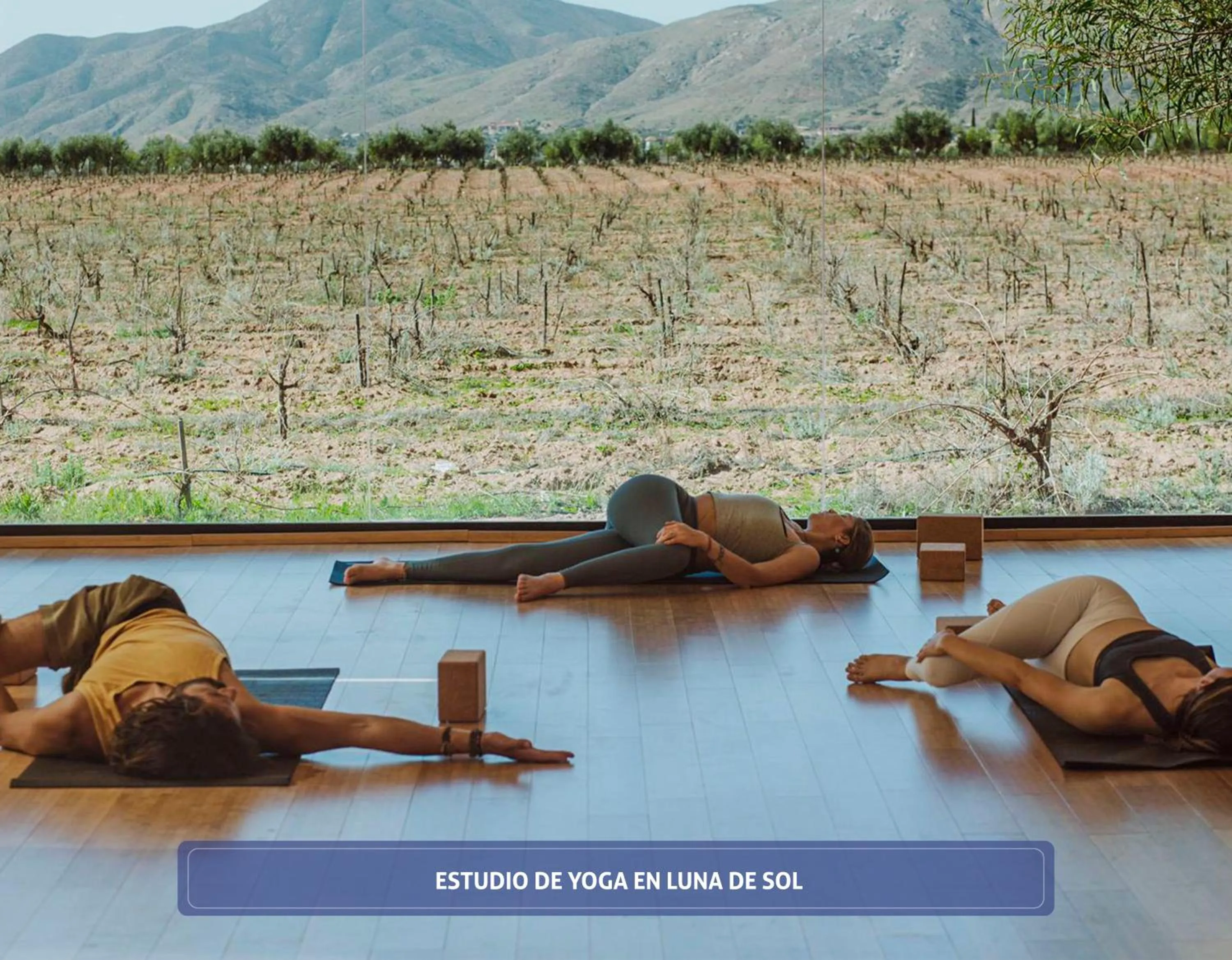 Spa and wellness centre/facilities in Entre Viñedos by Hotel Boutique Valle de Guadalupe