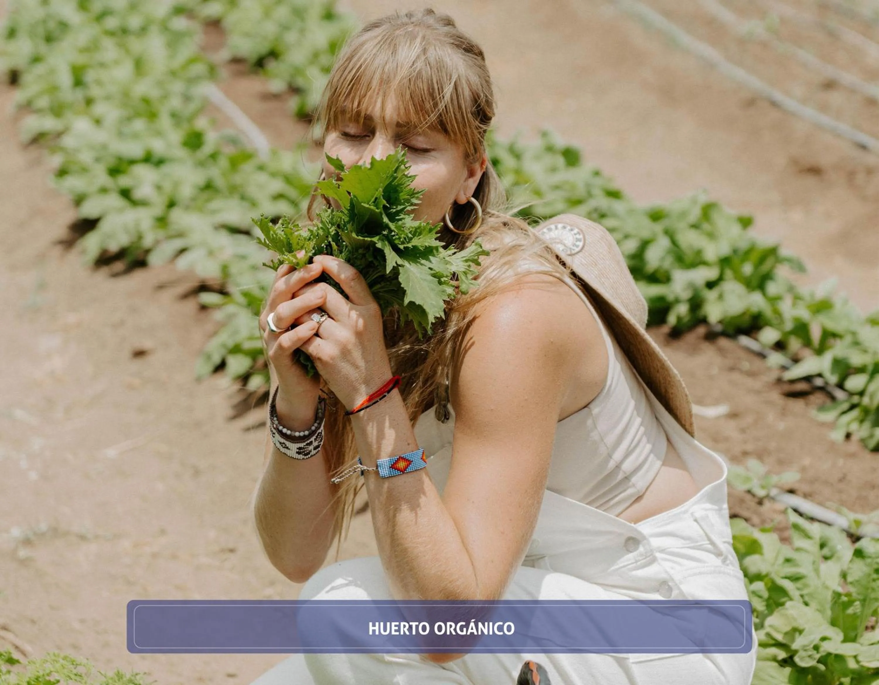 Garden in Entre Viñedos by Hotel Boutique Valle de Guadalupe