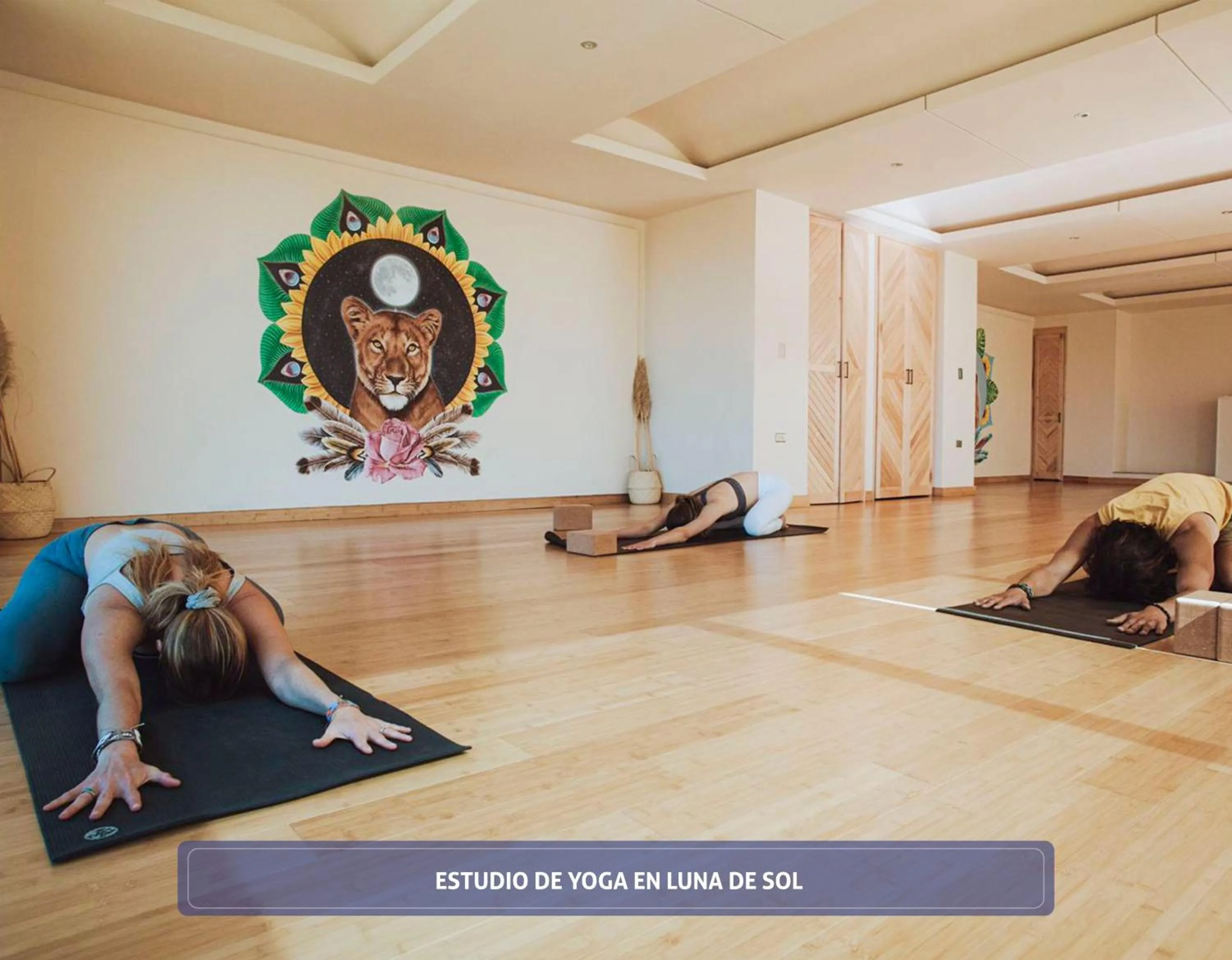 Spa and wellness centre/facilities in Entre Viñedos by Hotel Boutique Valle de Guadalupe