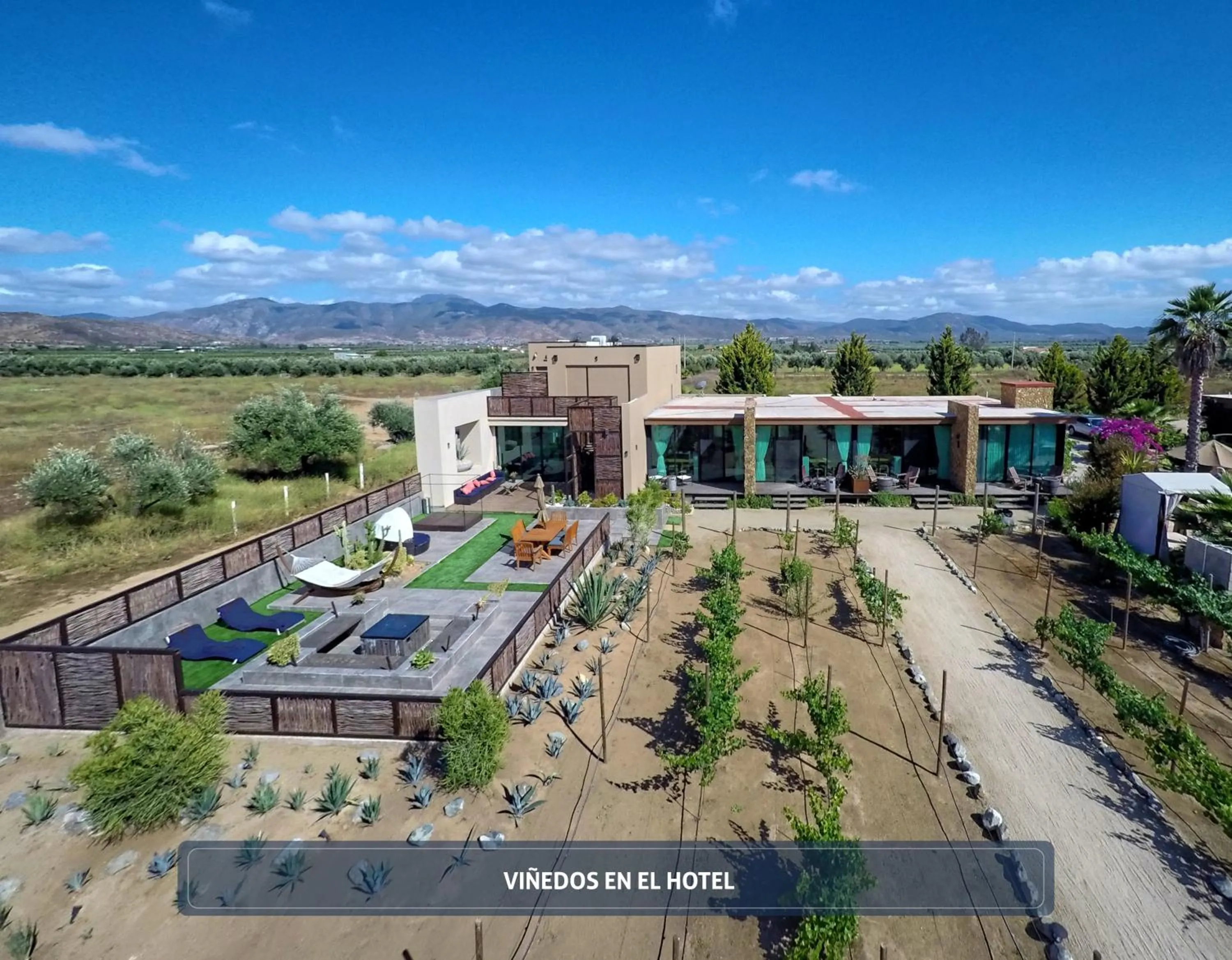 Bird's eye view in Entre Viñedos by Hotel Boutique Valle de Guadalupe