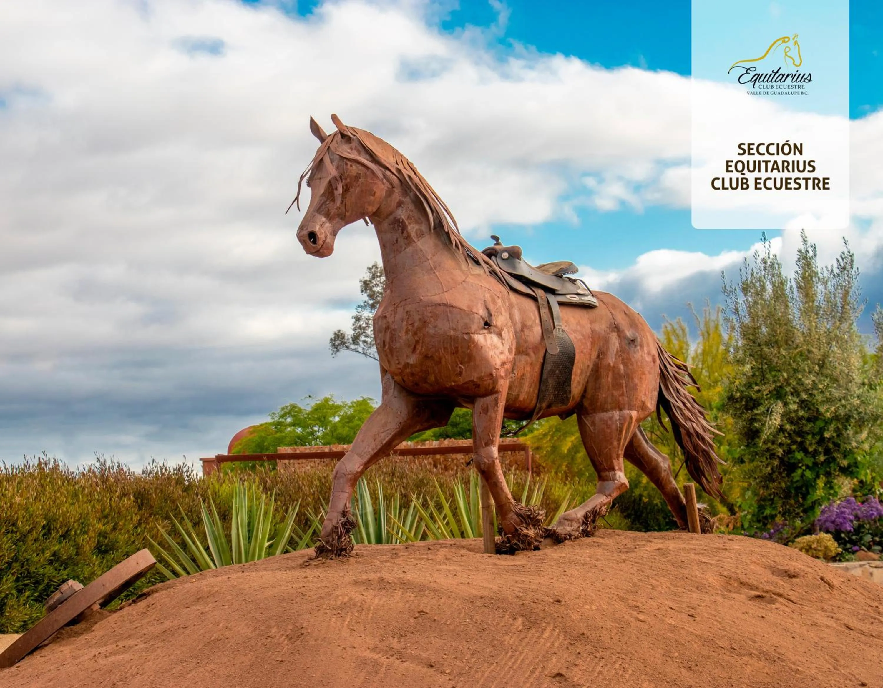 Horse-riding in Entre Viñedos by Hotel Boutique Valle de Guadalupe