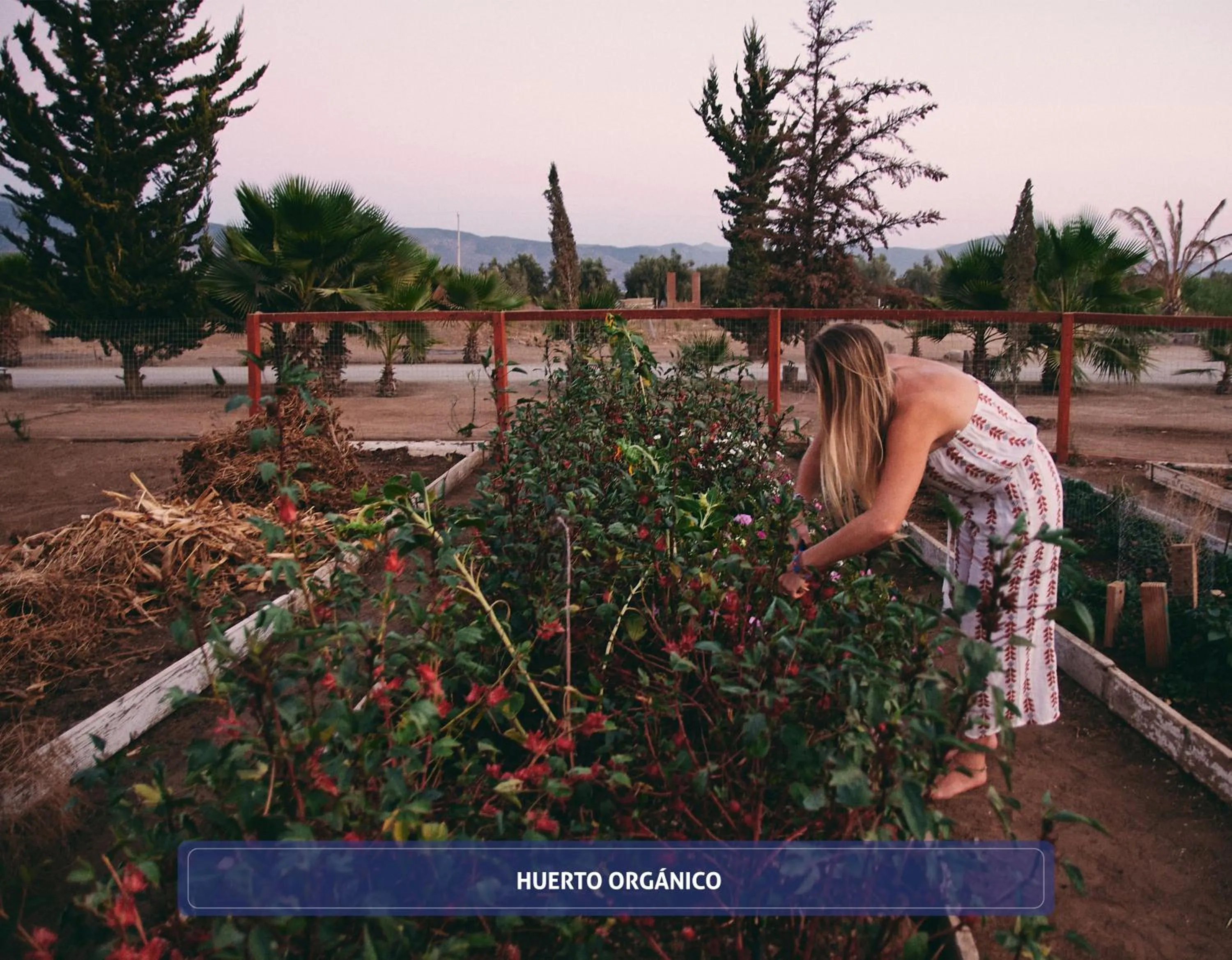 Garden in Entre Viñedos by Hotel Boutique Valle de Guadalupe