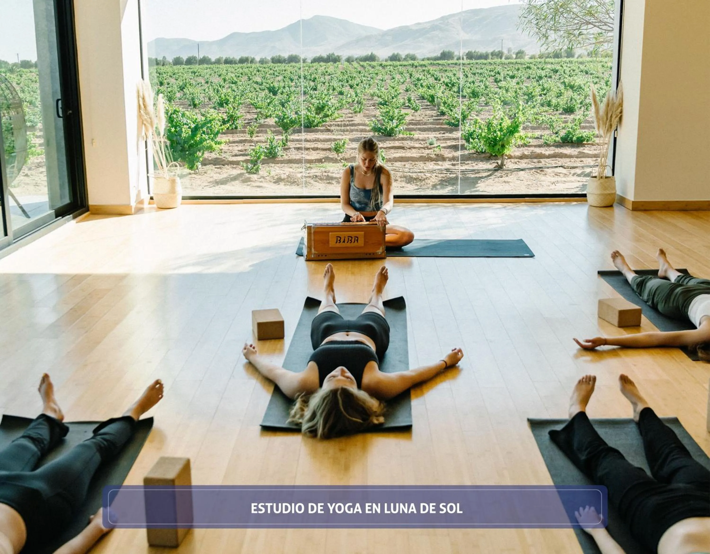 Spa and wellness centre/facilities in Entre Viñedos by Hotel Boutique Valle de Guadalupe