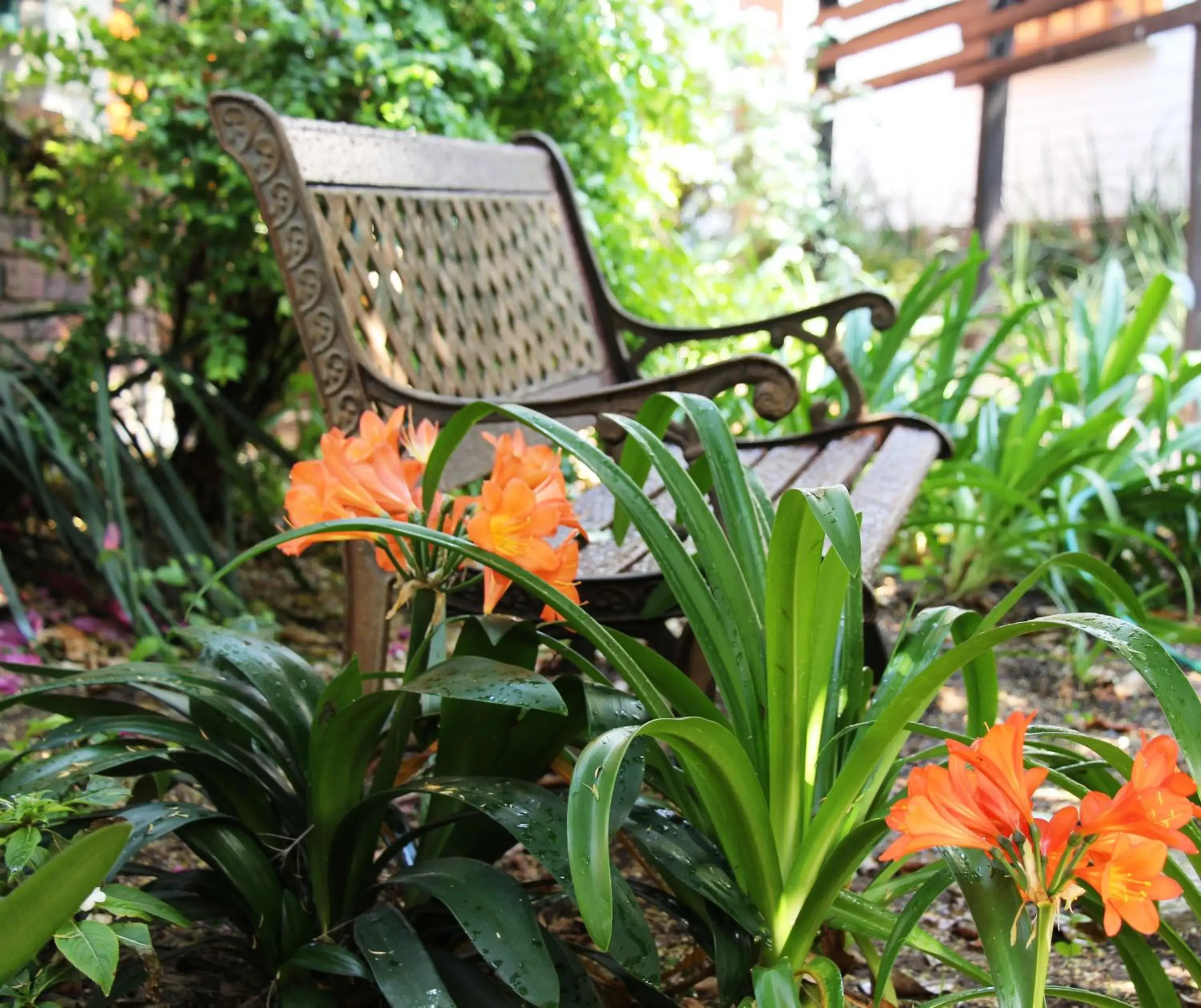 Garden view in Rivonia Premier Lodge Garden view in Rivonia Premier Lodge