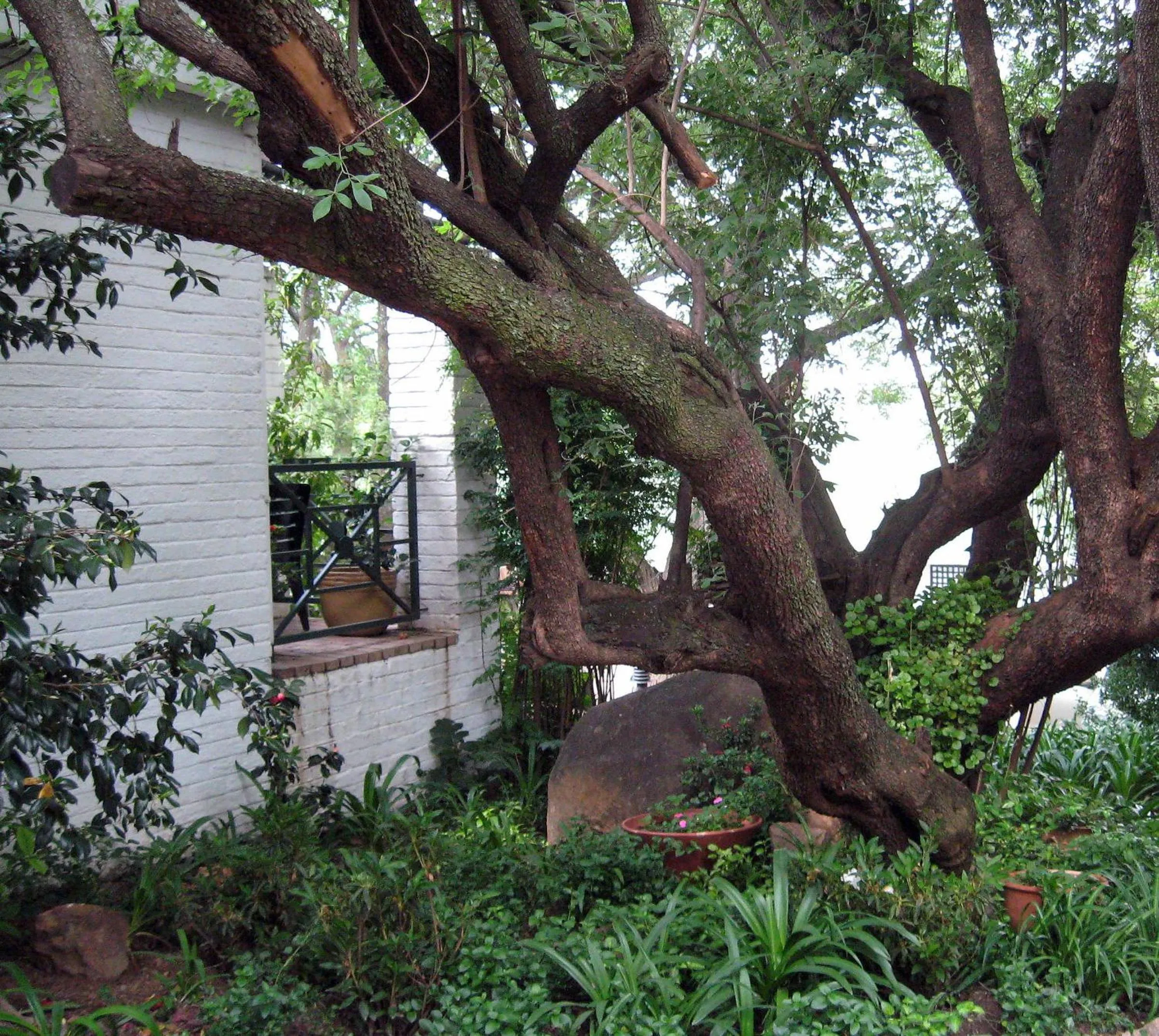 Property building in Rivonia Premier Lodge