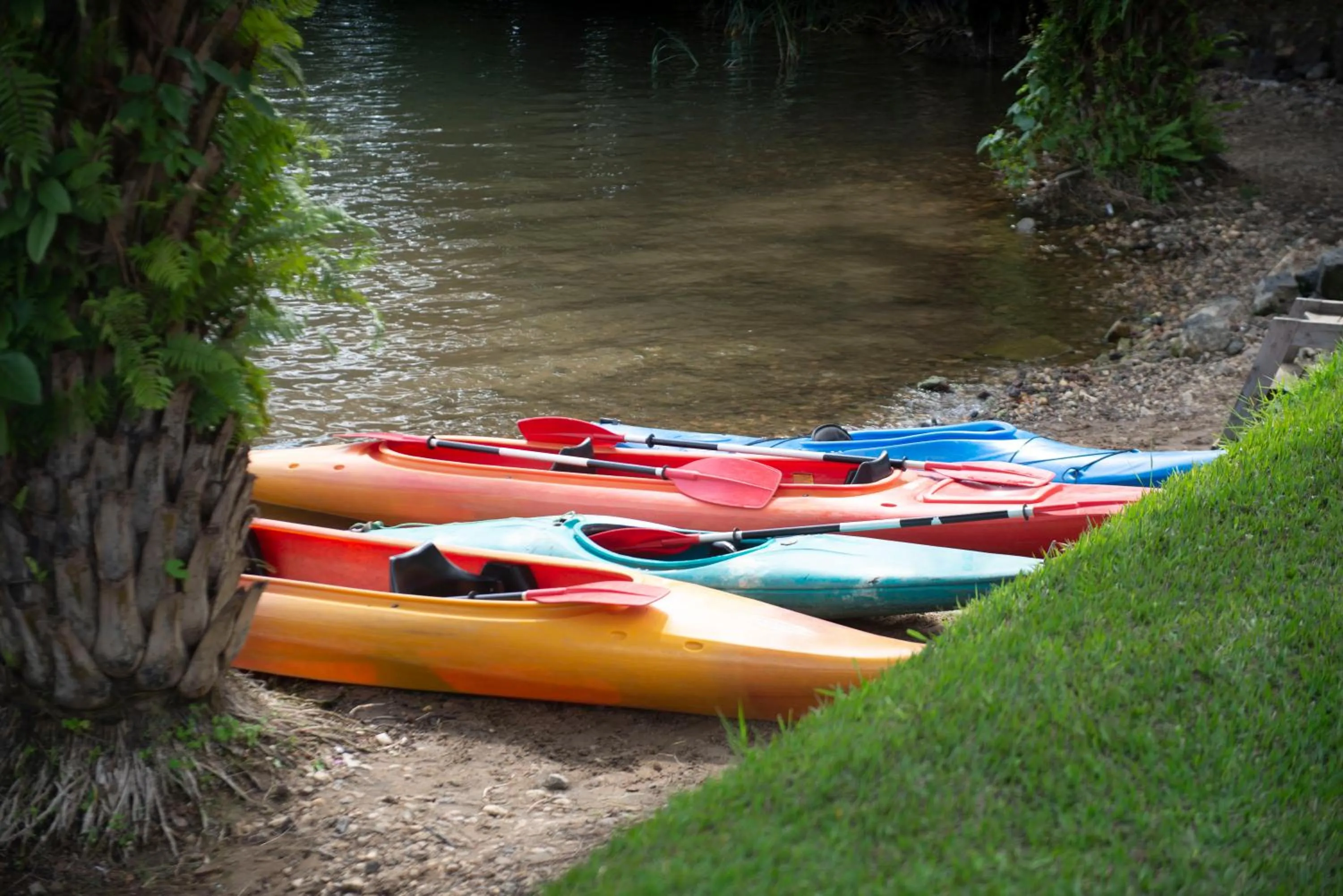 Canoeing in Paradise Malahide
