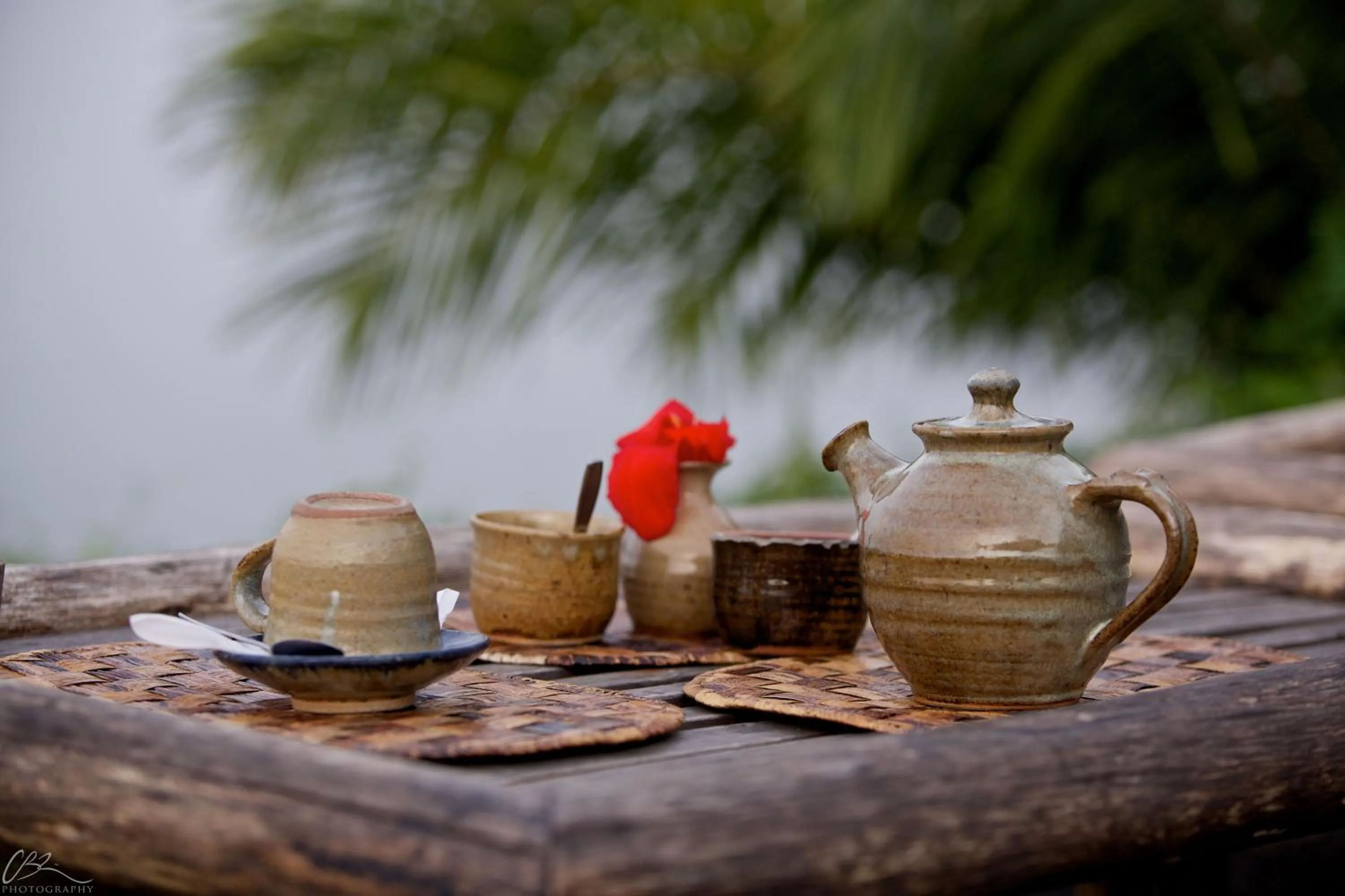 Breakfast in Paradise Malahide