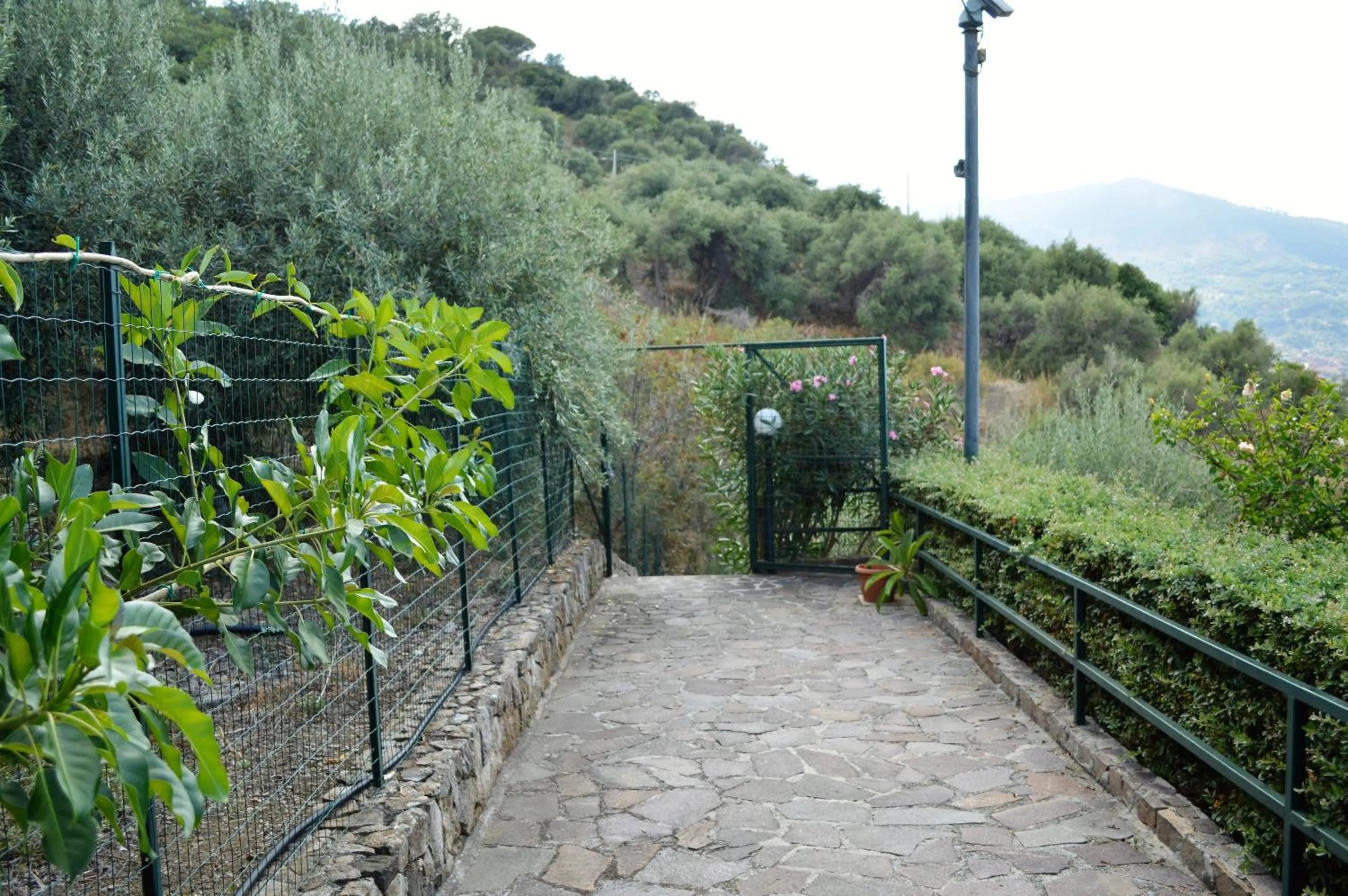 Street view in Sweet House Salvina