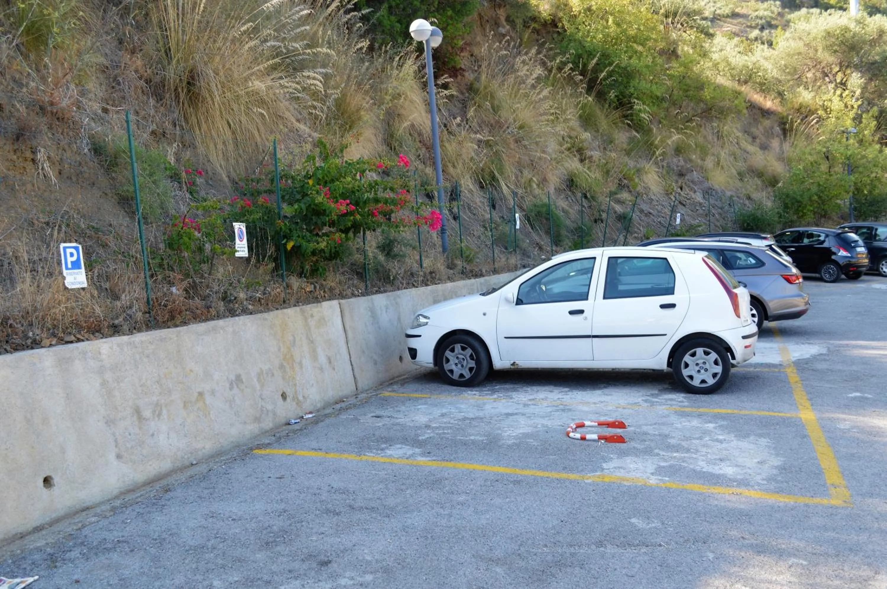 Area and facilities in Sweet House Salvina