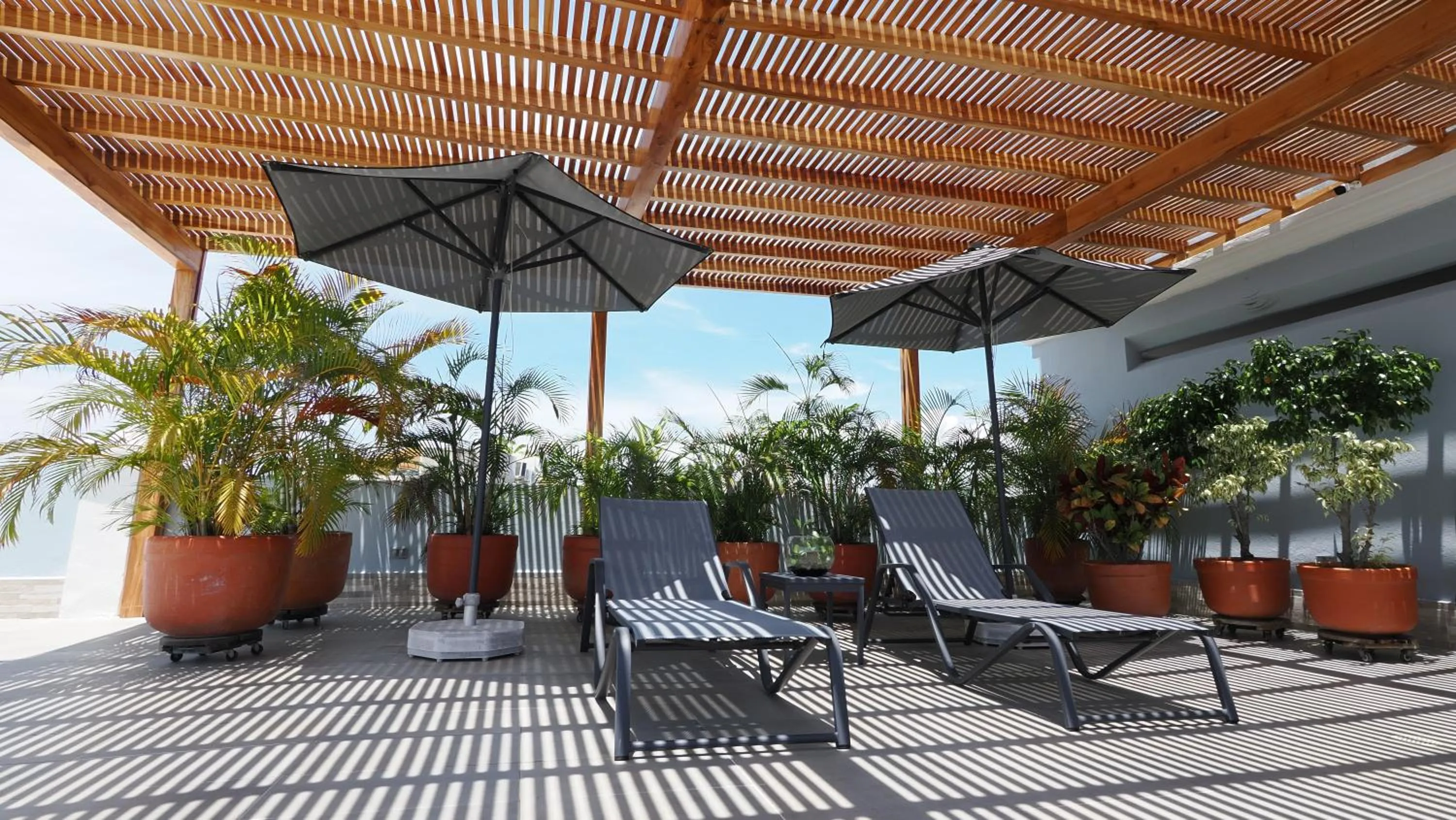 Patio in Hotel Casa Cytia