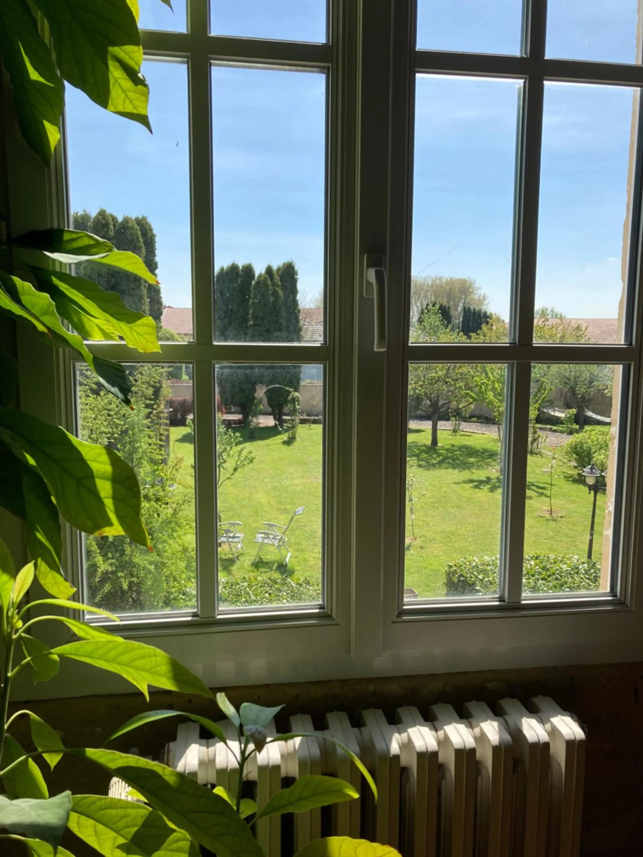 Garden view in Maison Les Beaux Arts