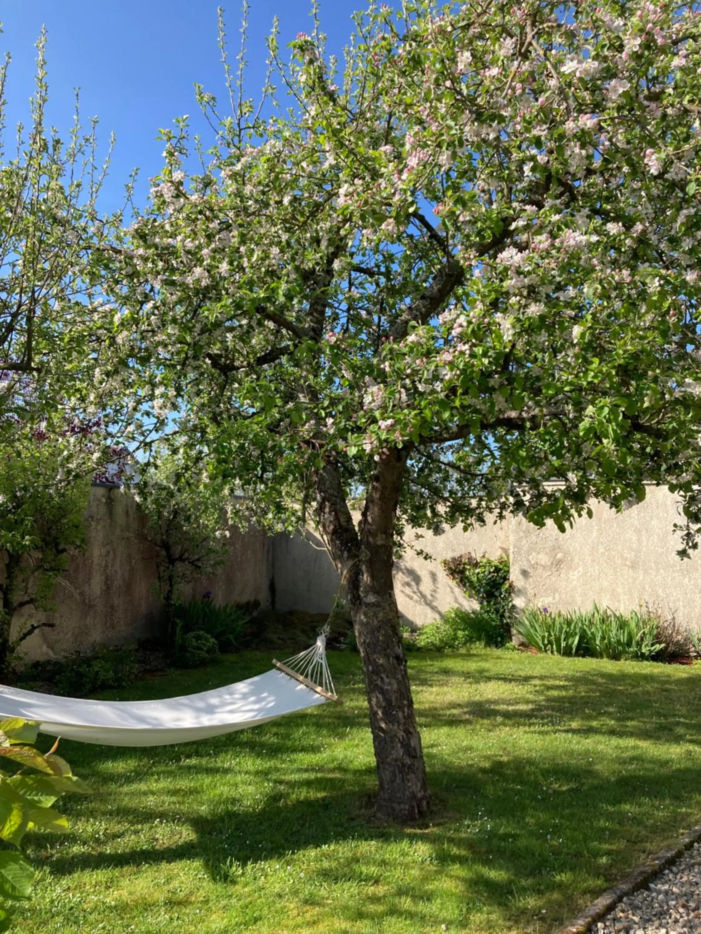 Garden in Maison Les Beaux Arts