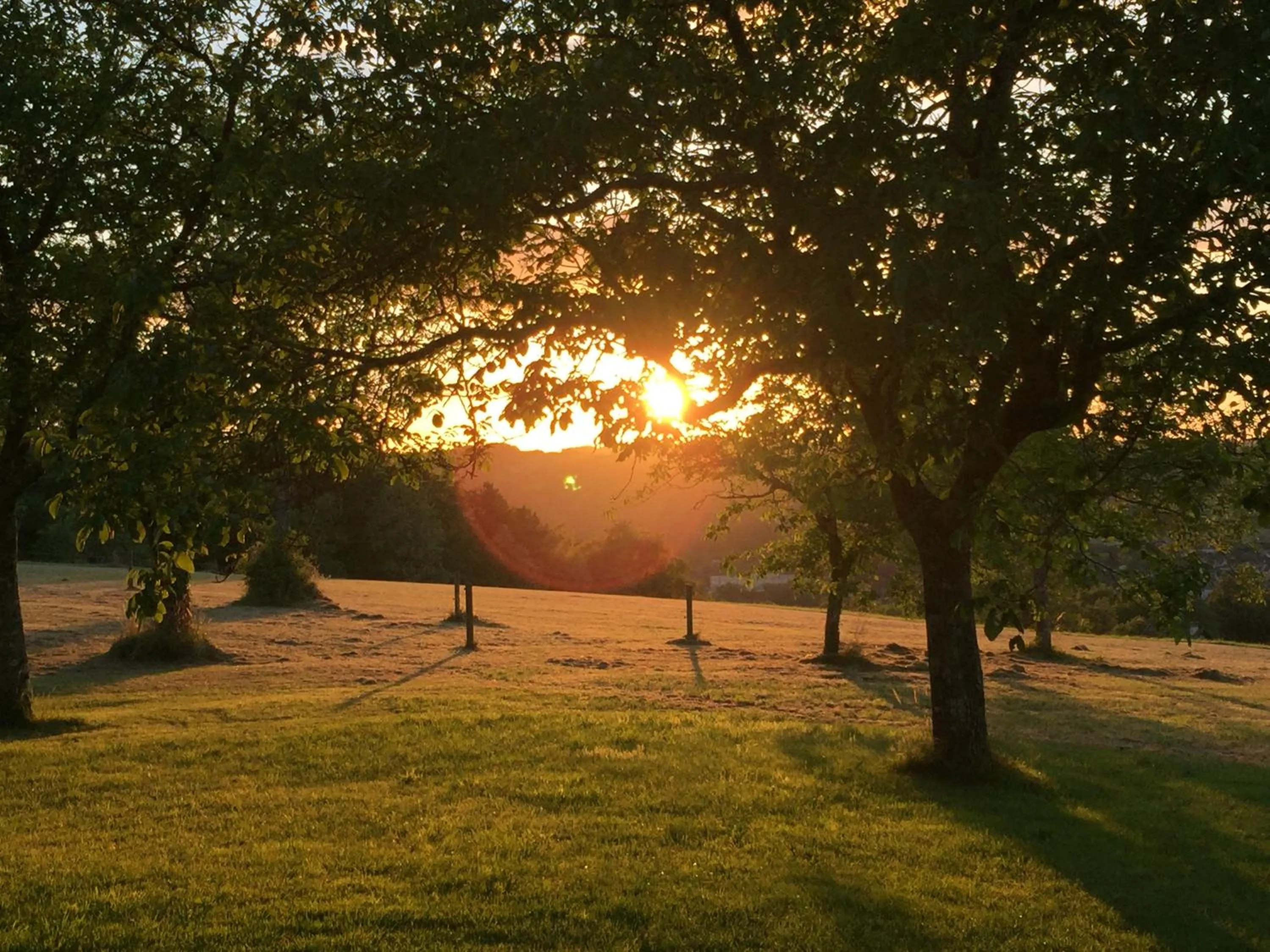 View (from property/room) in Domaine de Lascaux