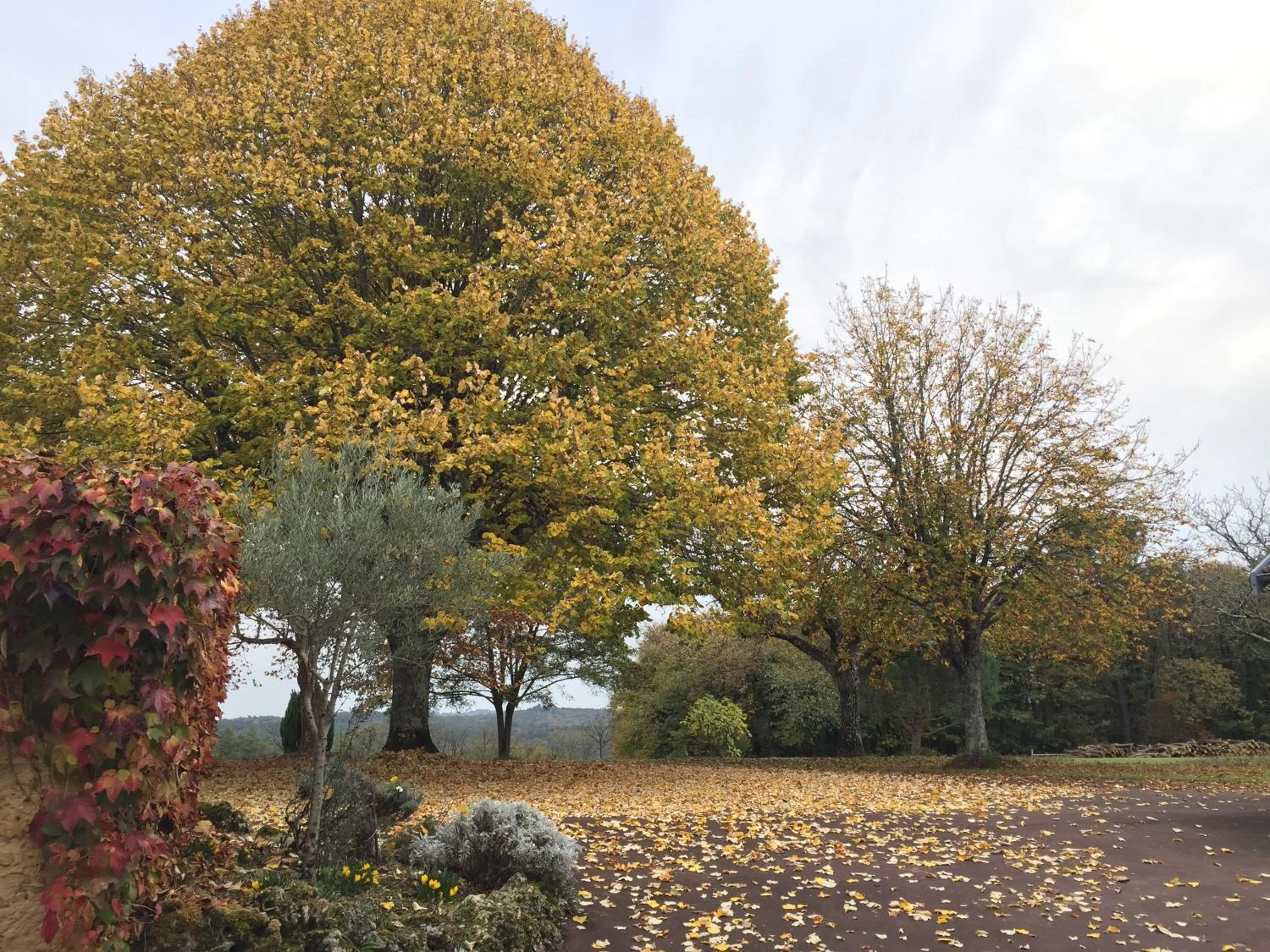 Property building in Domaine de Lascaux