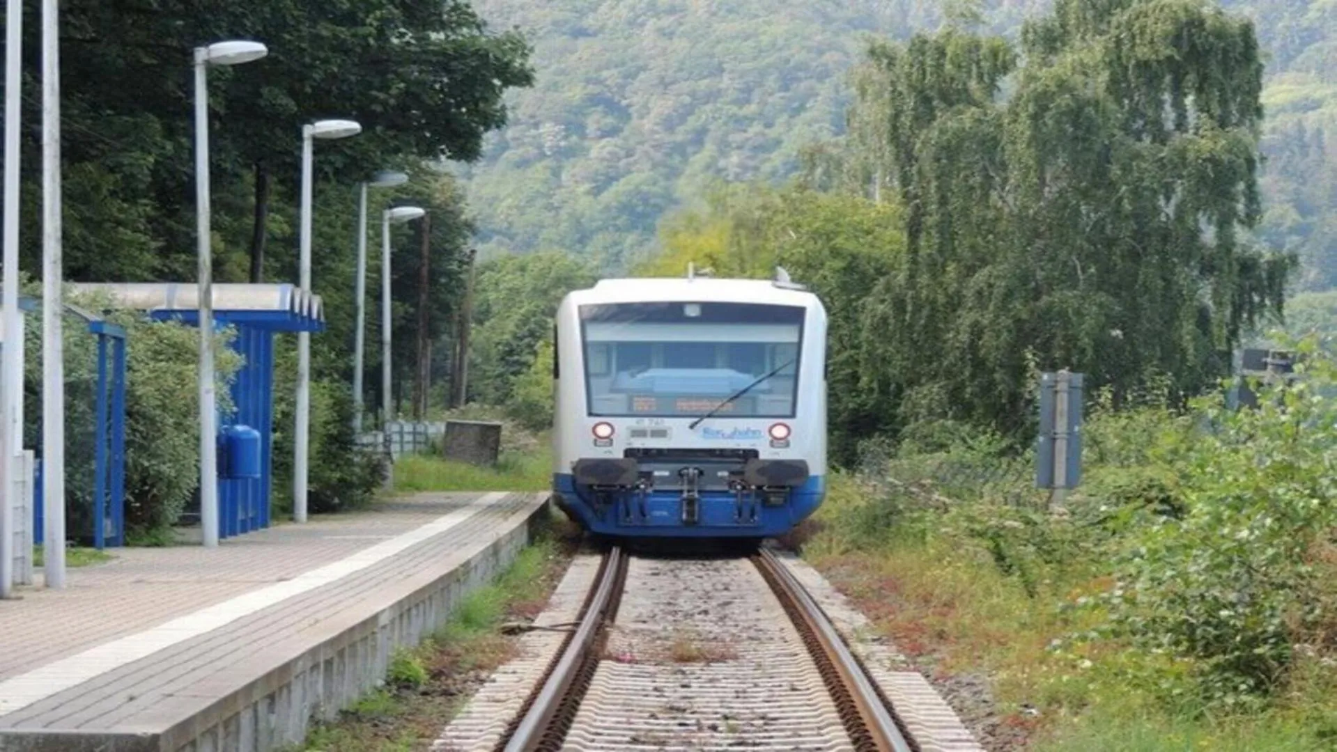 Day in Green Seeblick Hotel am See
