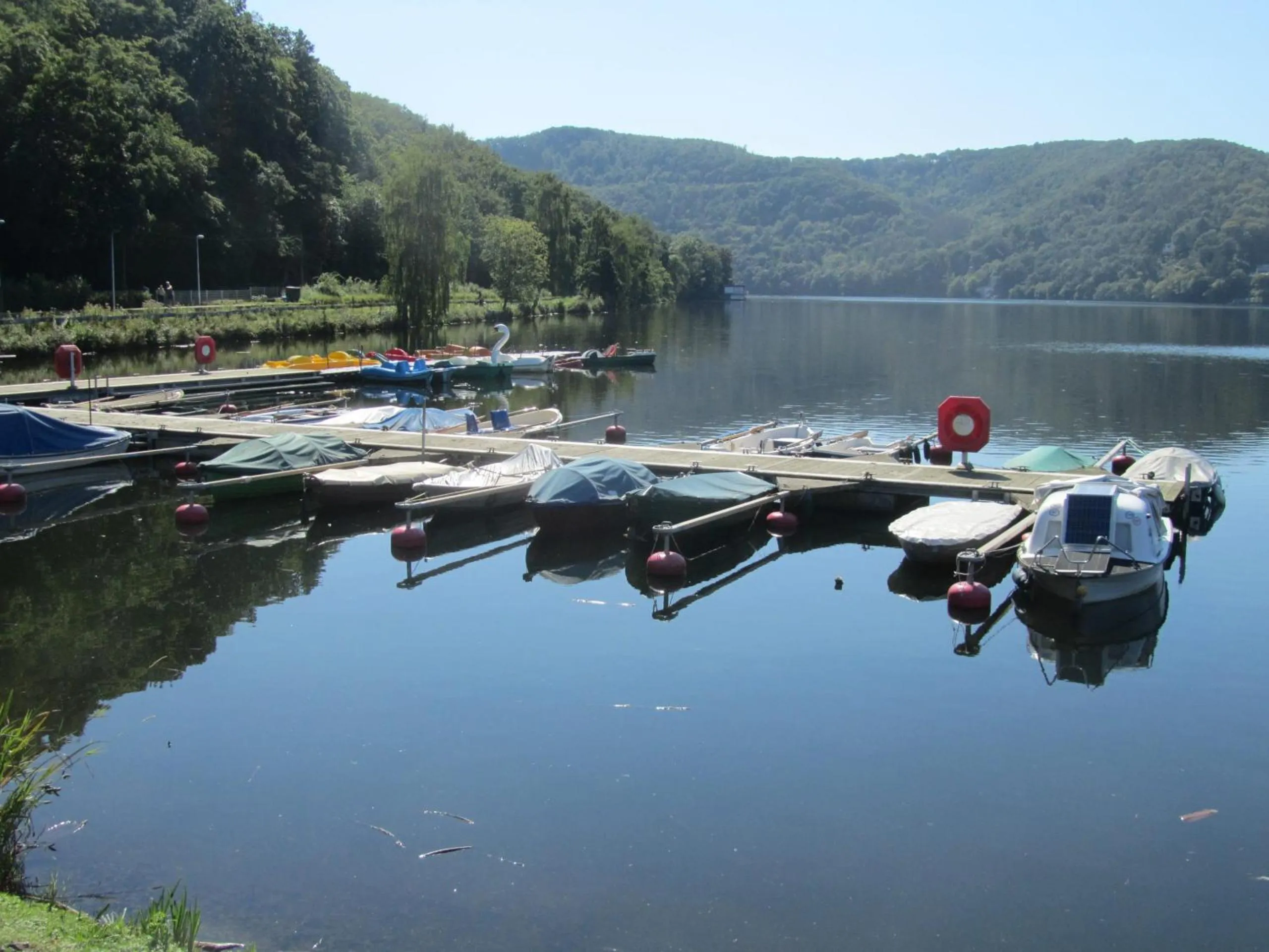 Day in Green Seeblick Hotel am See