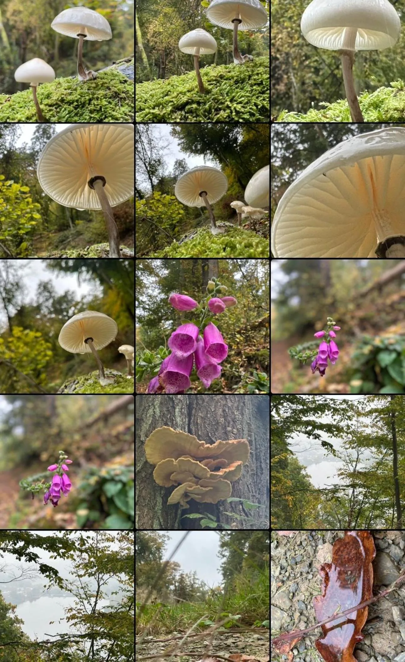 Nearby landmark in Seeblick Hotel am See