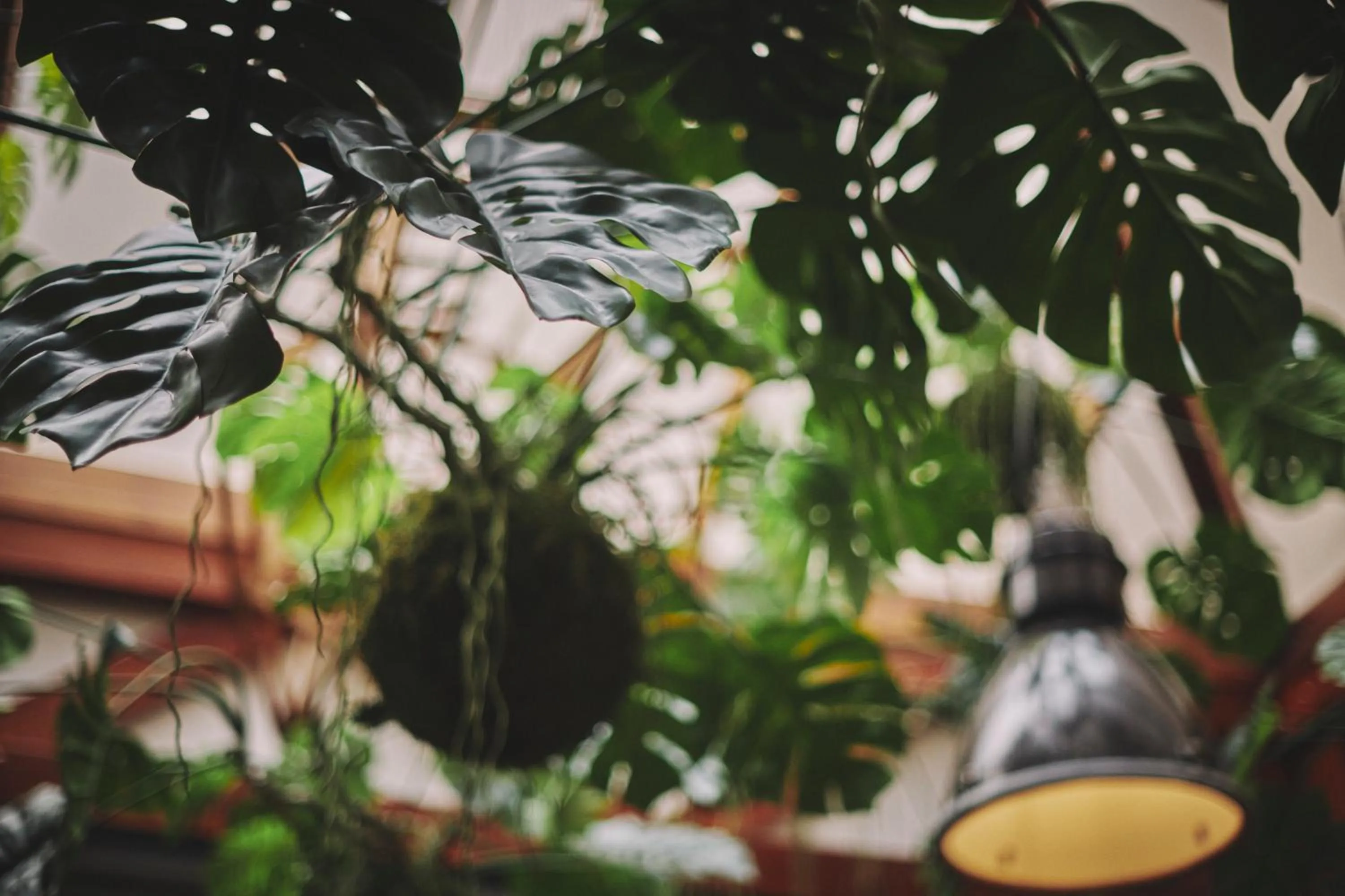 Communal lounge/ TV room in The Legacy by 2GO4 City Center