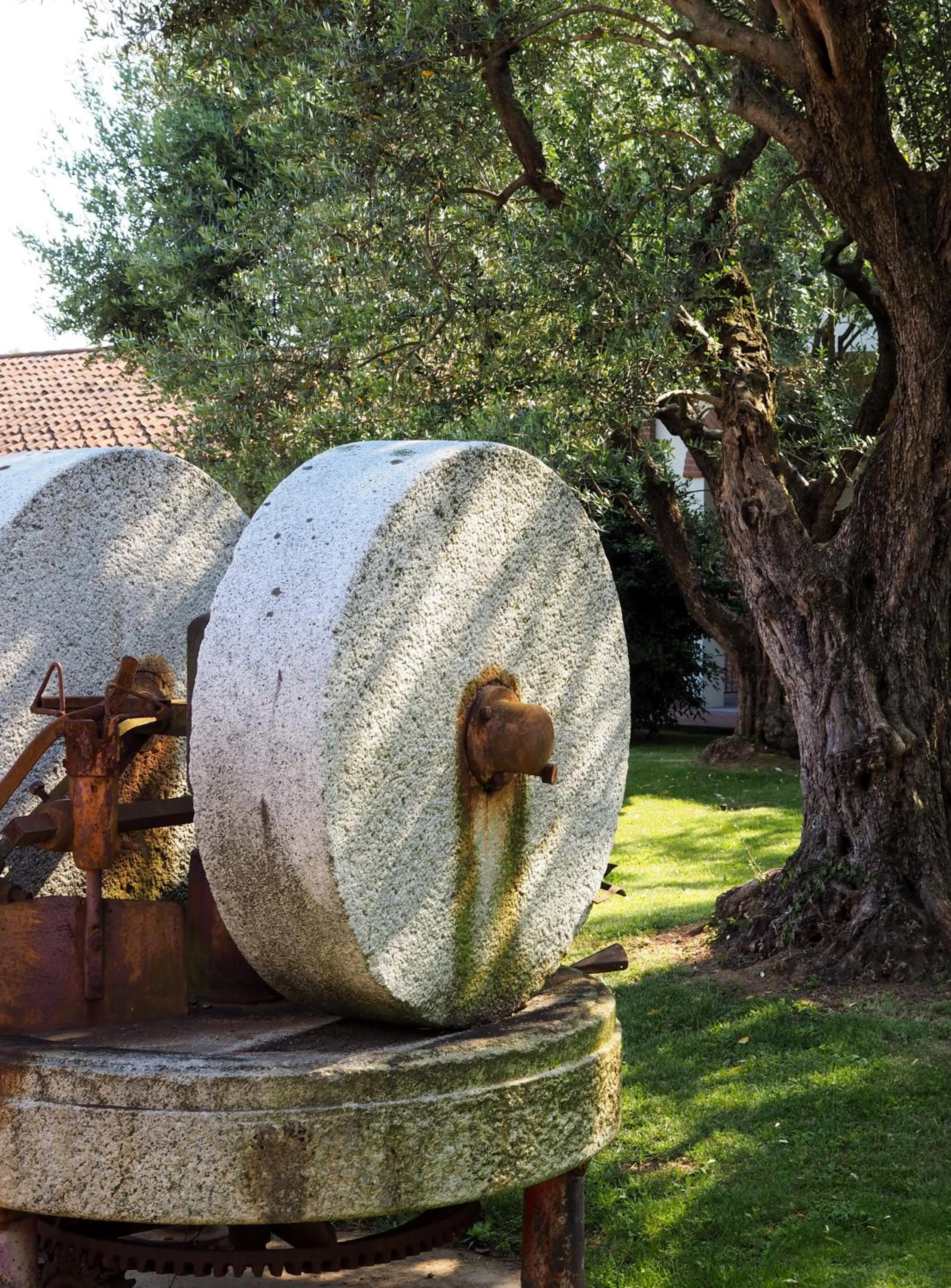 Garden in Relais Santo Stefano