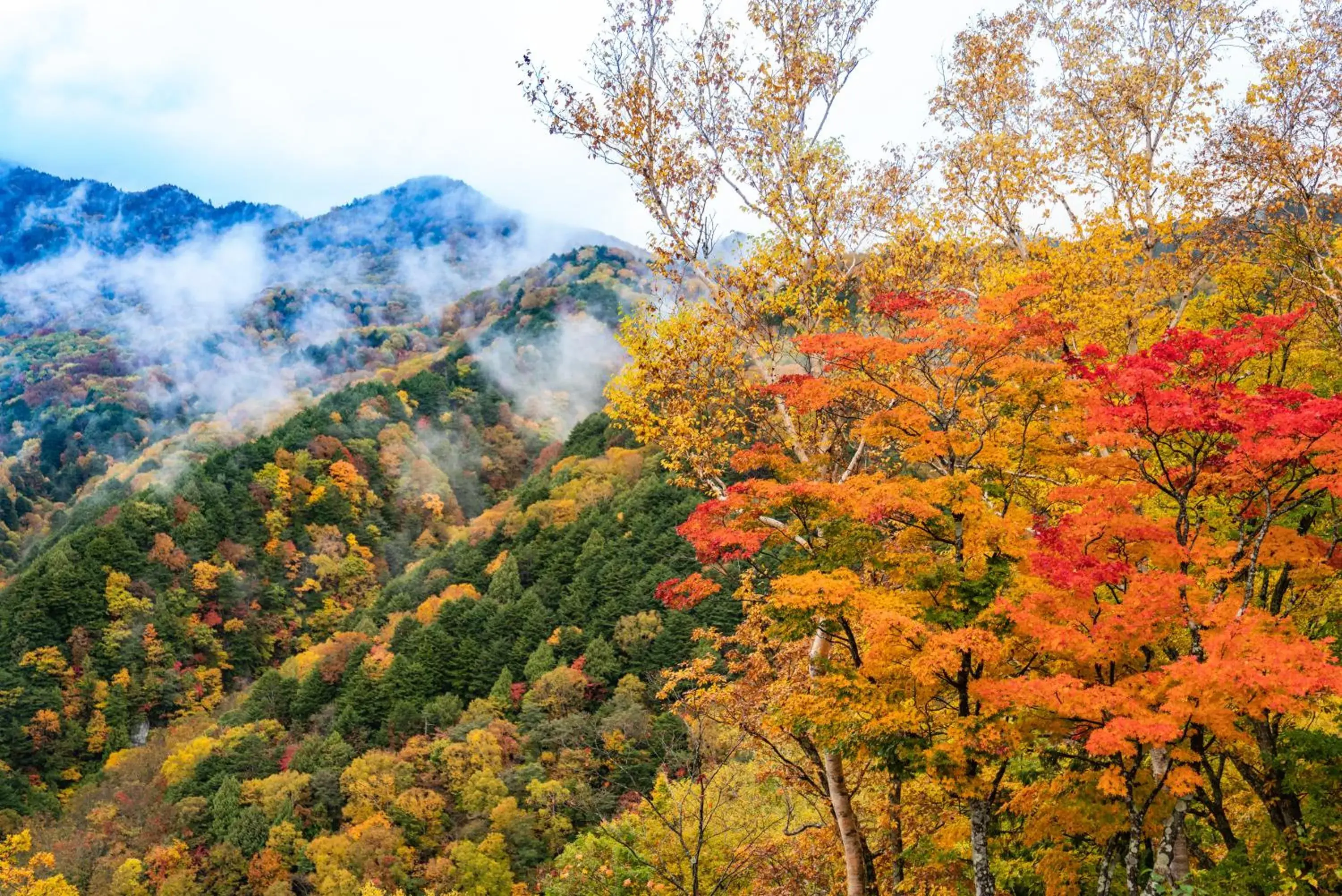 Nearby landmark, Natural Landscape in AIBIYA