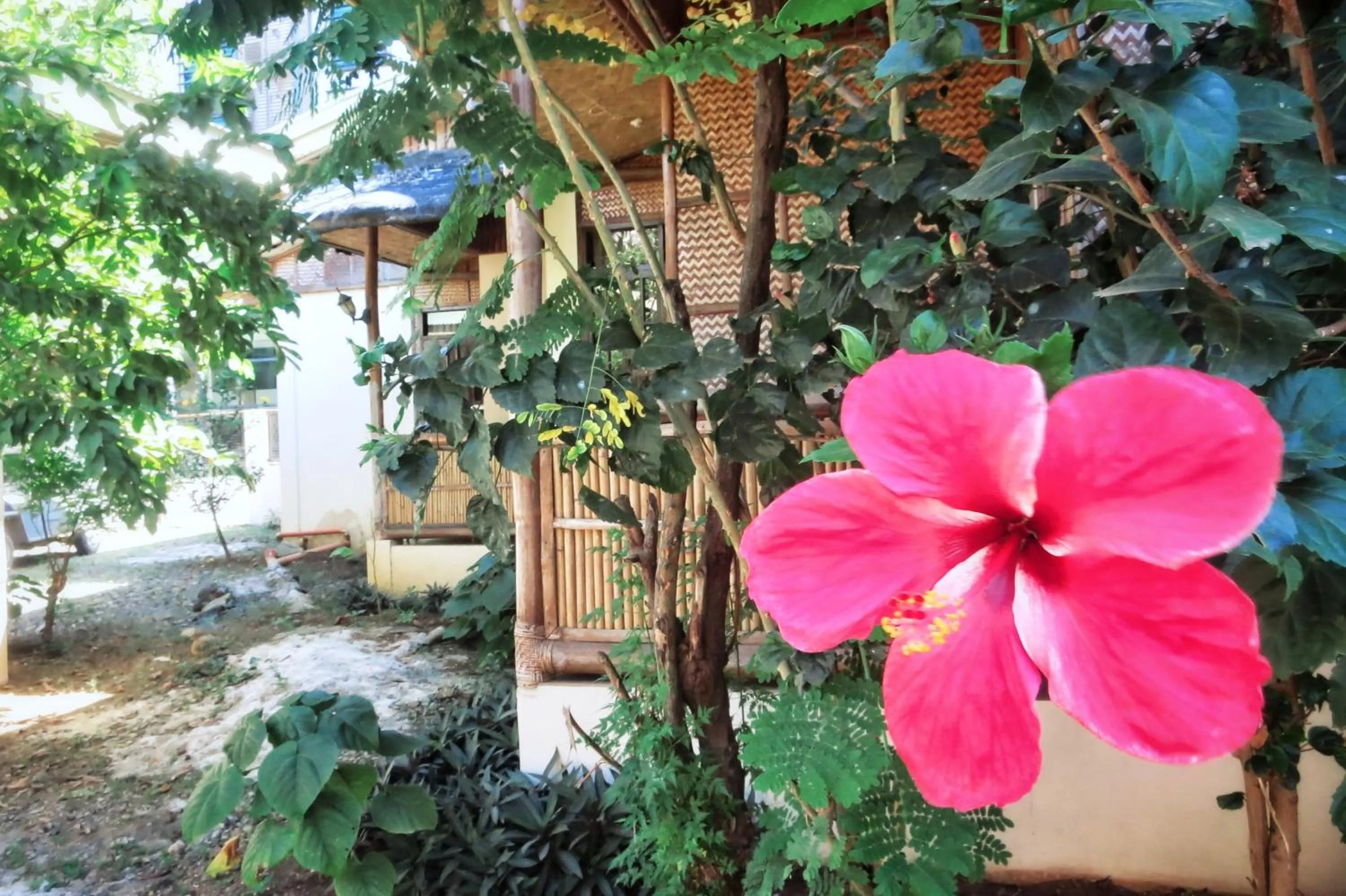 Pagdayon Traveler's Inn