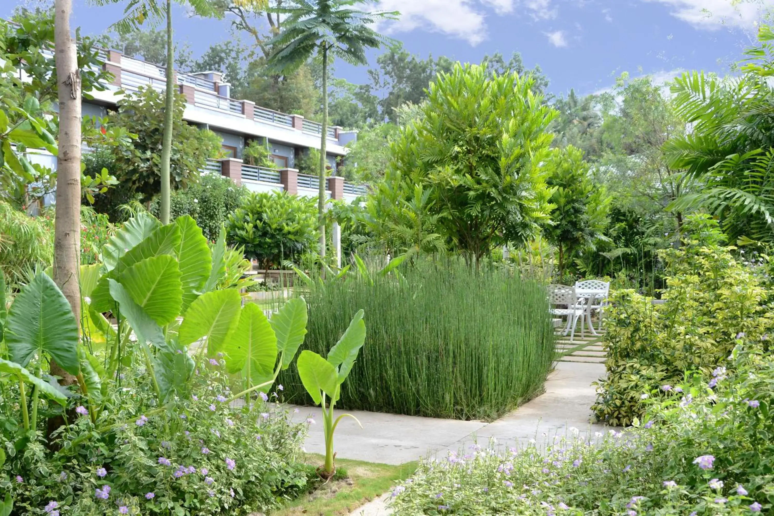 Garden view in Purple Palms Resort & Spa Garden view in Purple Palms Resort & Spa