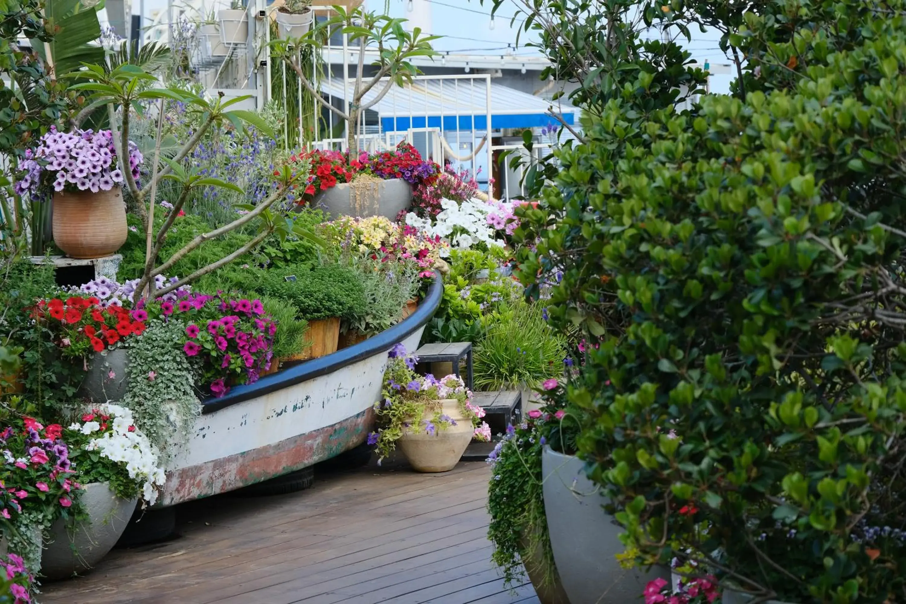 Restaurant/places to eat in Carlton Tel Aviv Hotel – Luxury on the Beach Restaurant/places to eat in Carlton Tel Aviv Hotel – Luxury on the Beach