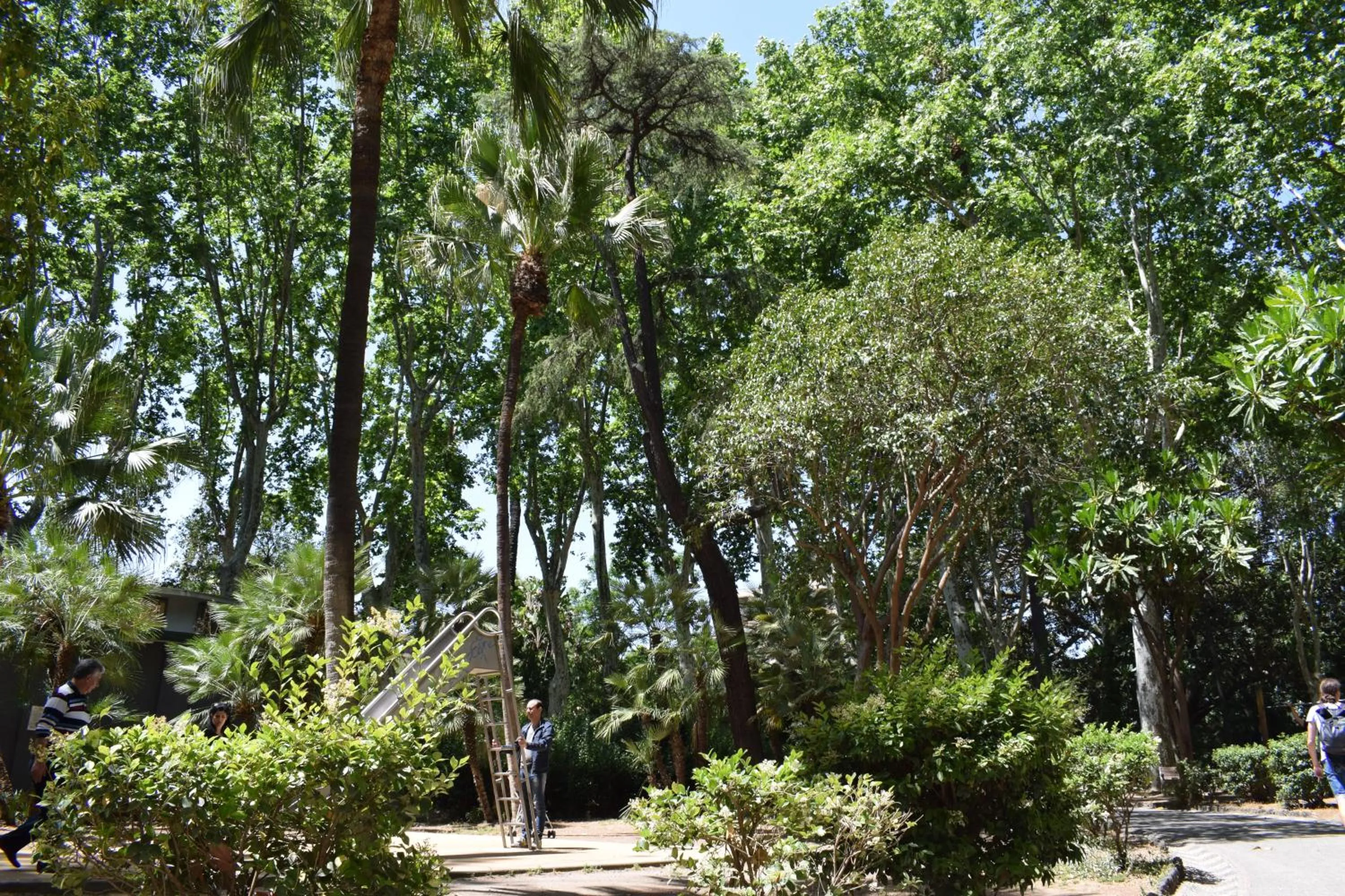 Property building in Il Cortiletto Di Piazza Verga