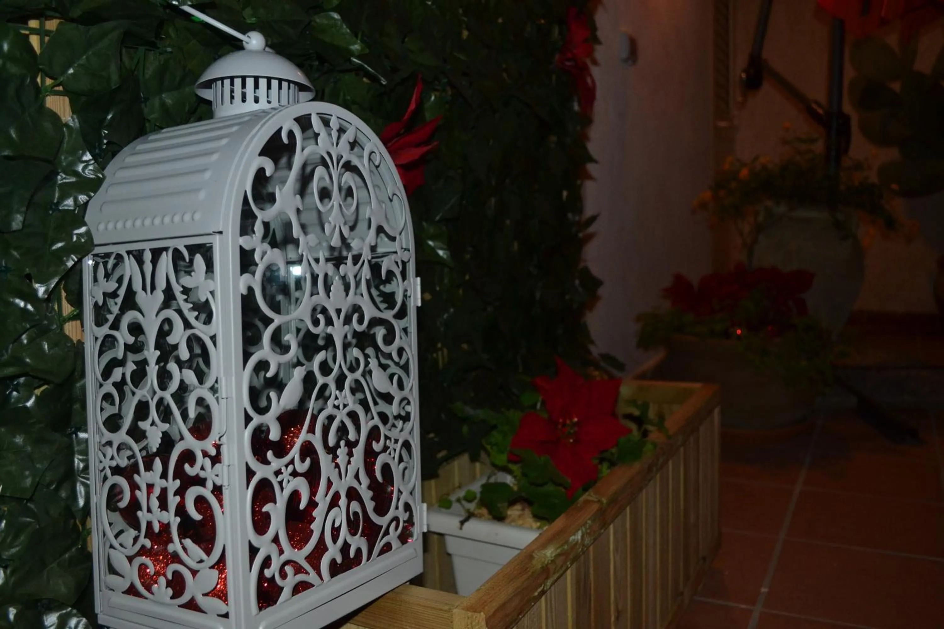 Garden in Il Cortiletto Di Piazza Verga