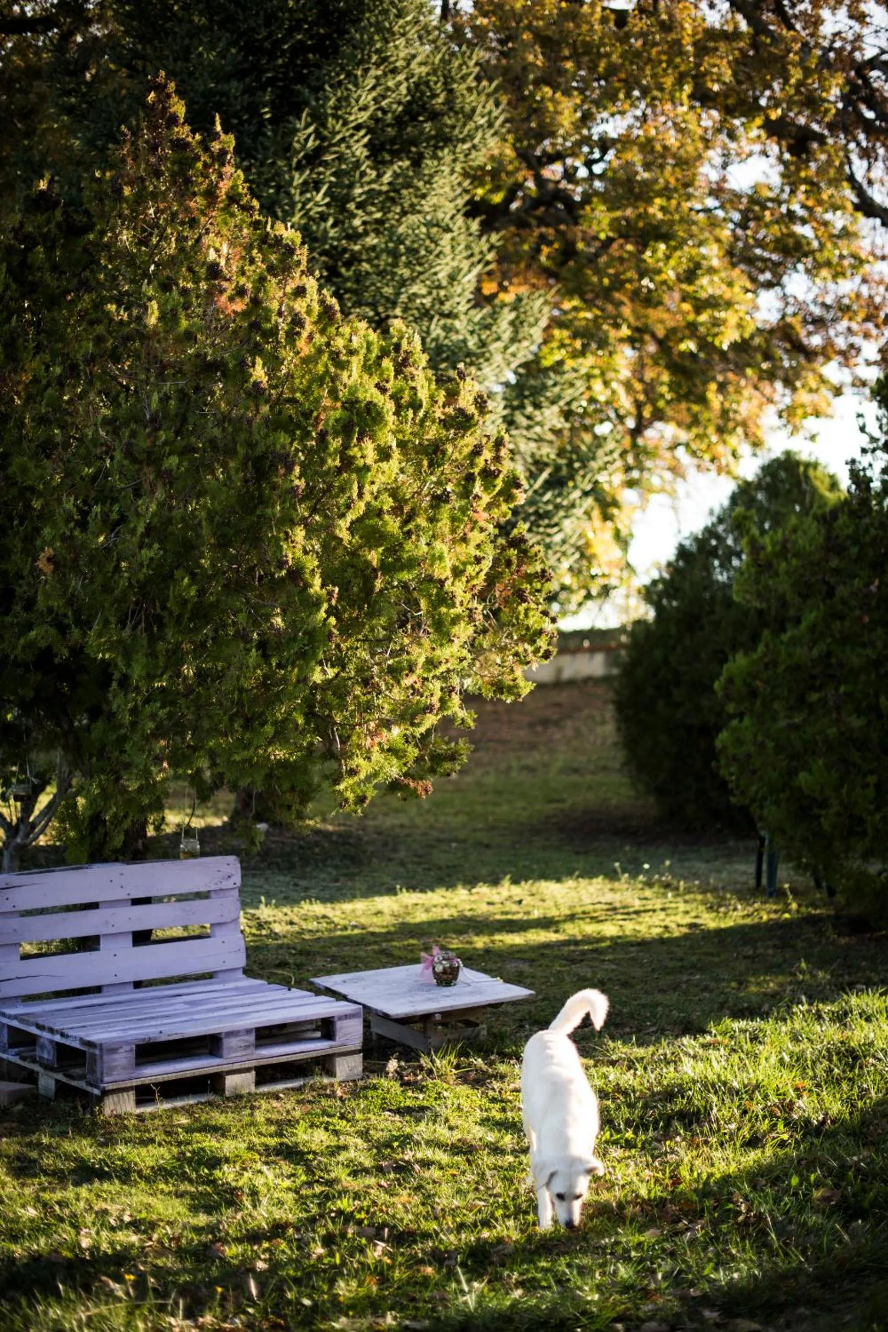 Garden in Amor di Lavanda