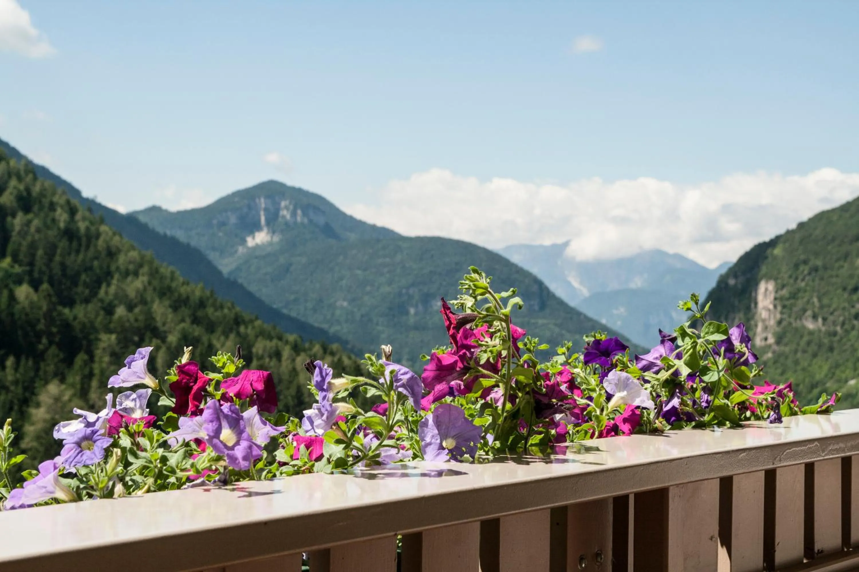 View (from property/room) in Residence Wiesenheim