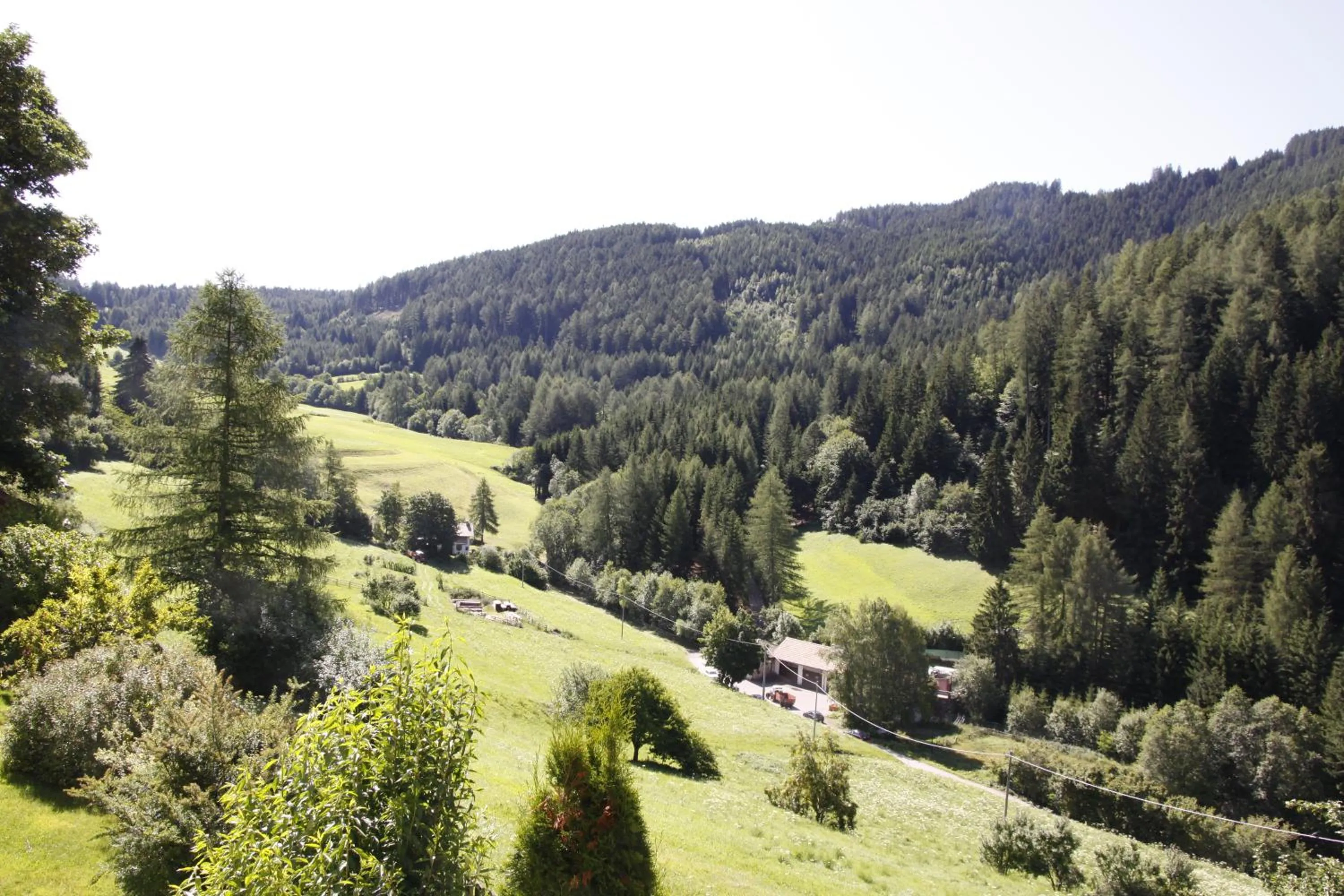 Natural landscape in Residence Wiesenheim