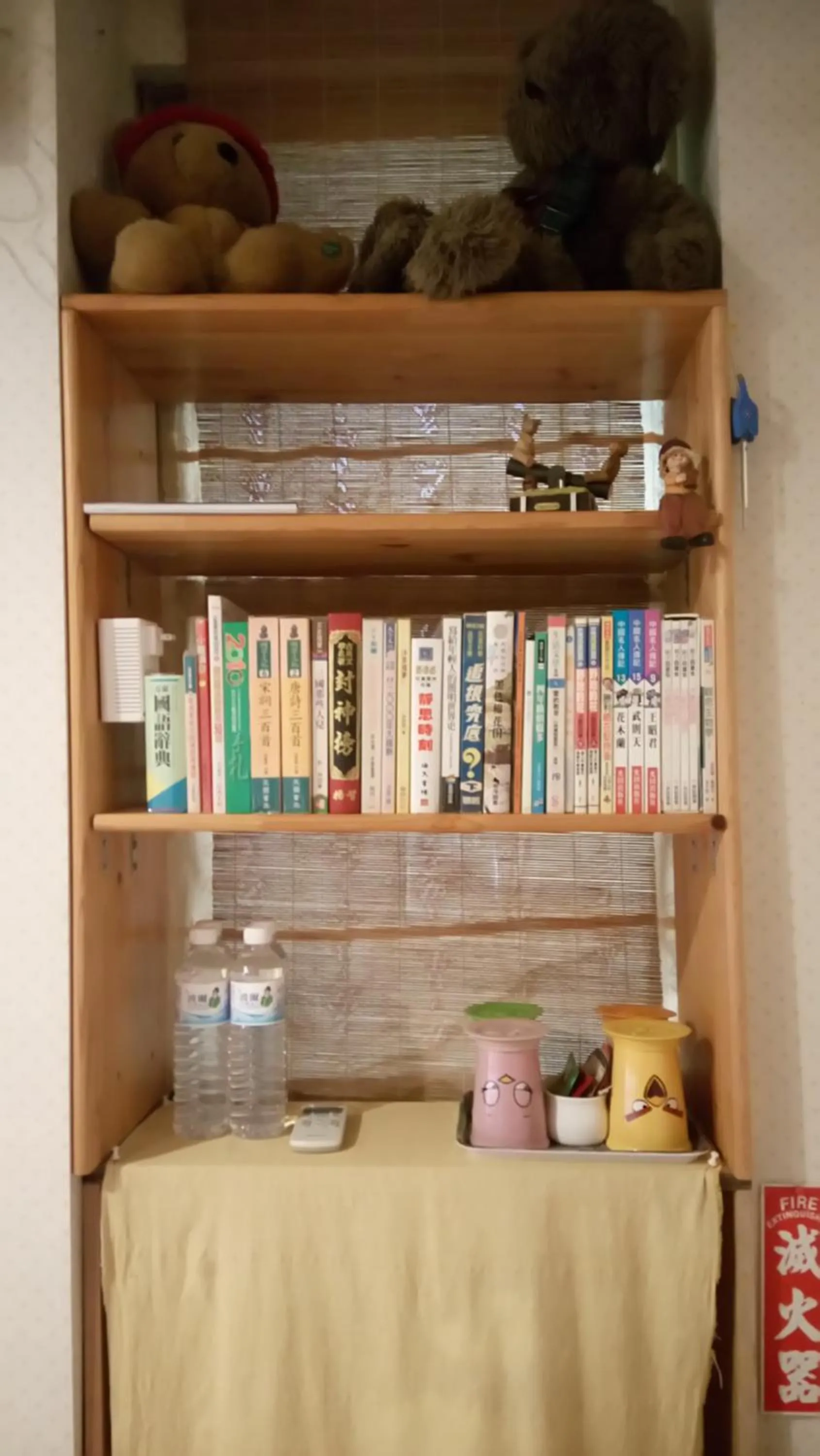 Library in Levite Villa