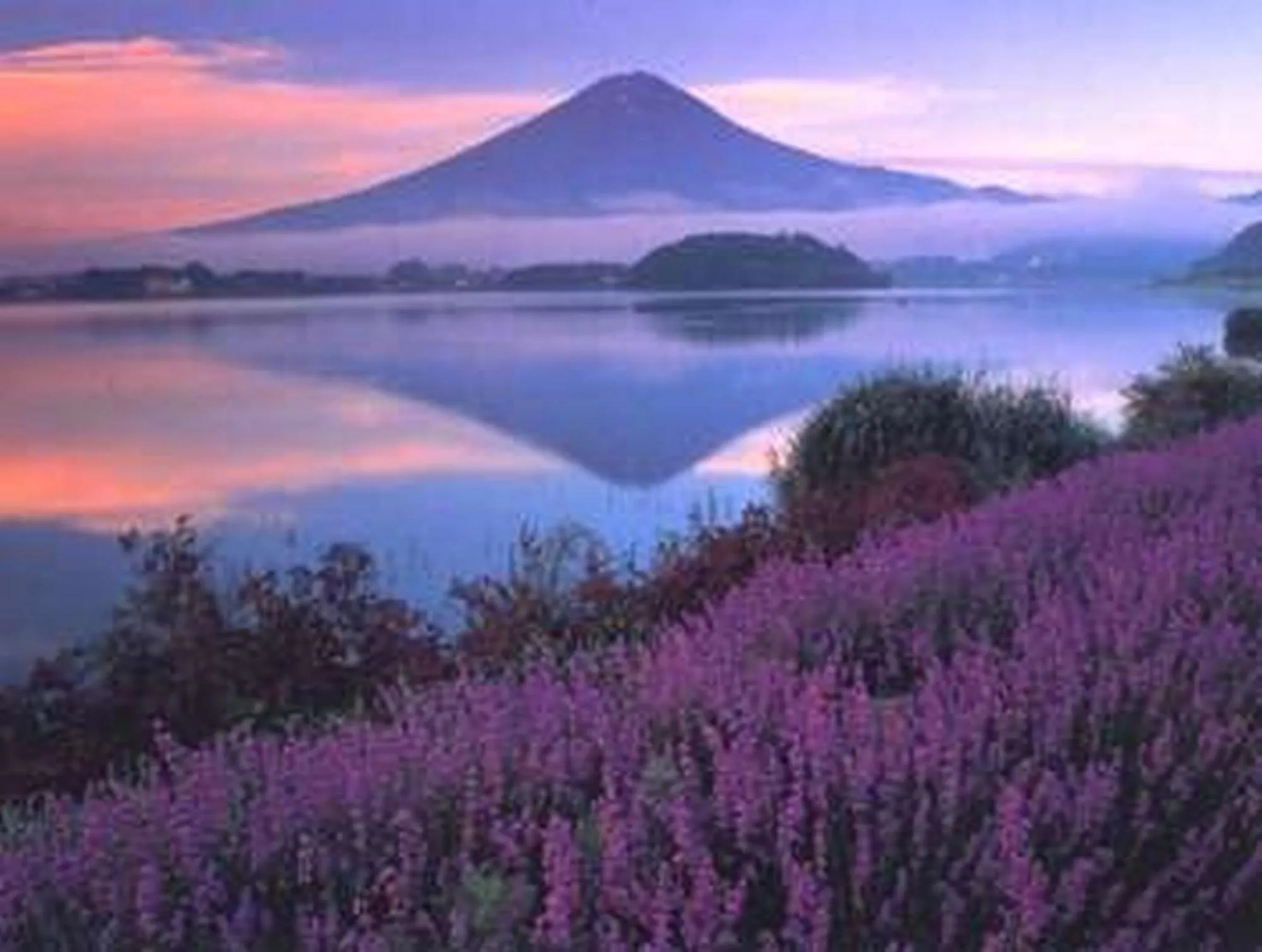 Fuji Matsuzono Hotel