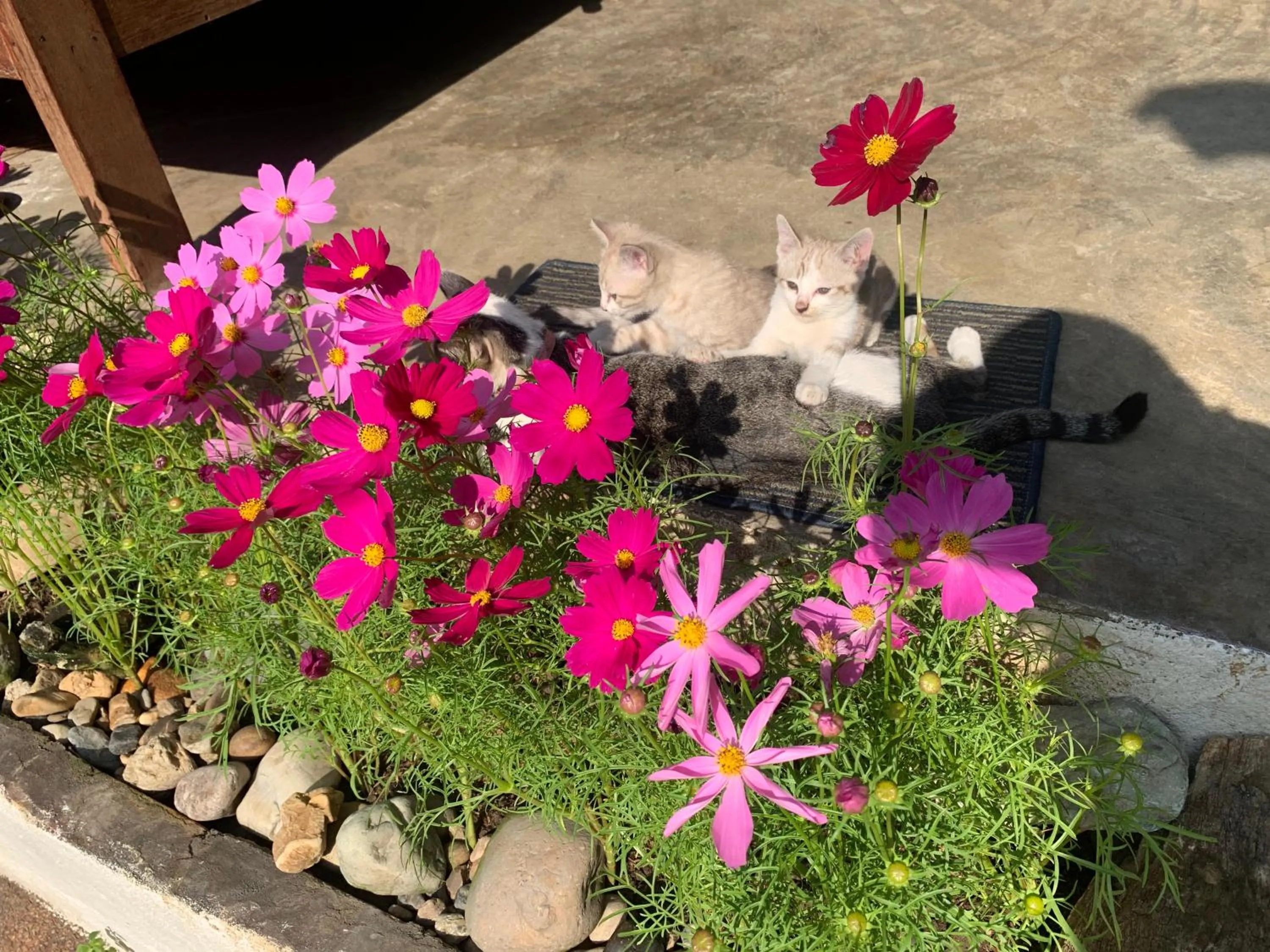 Day in Hongkhao Village