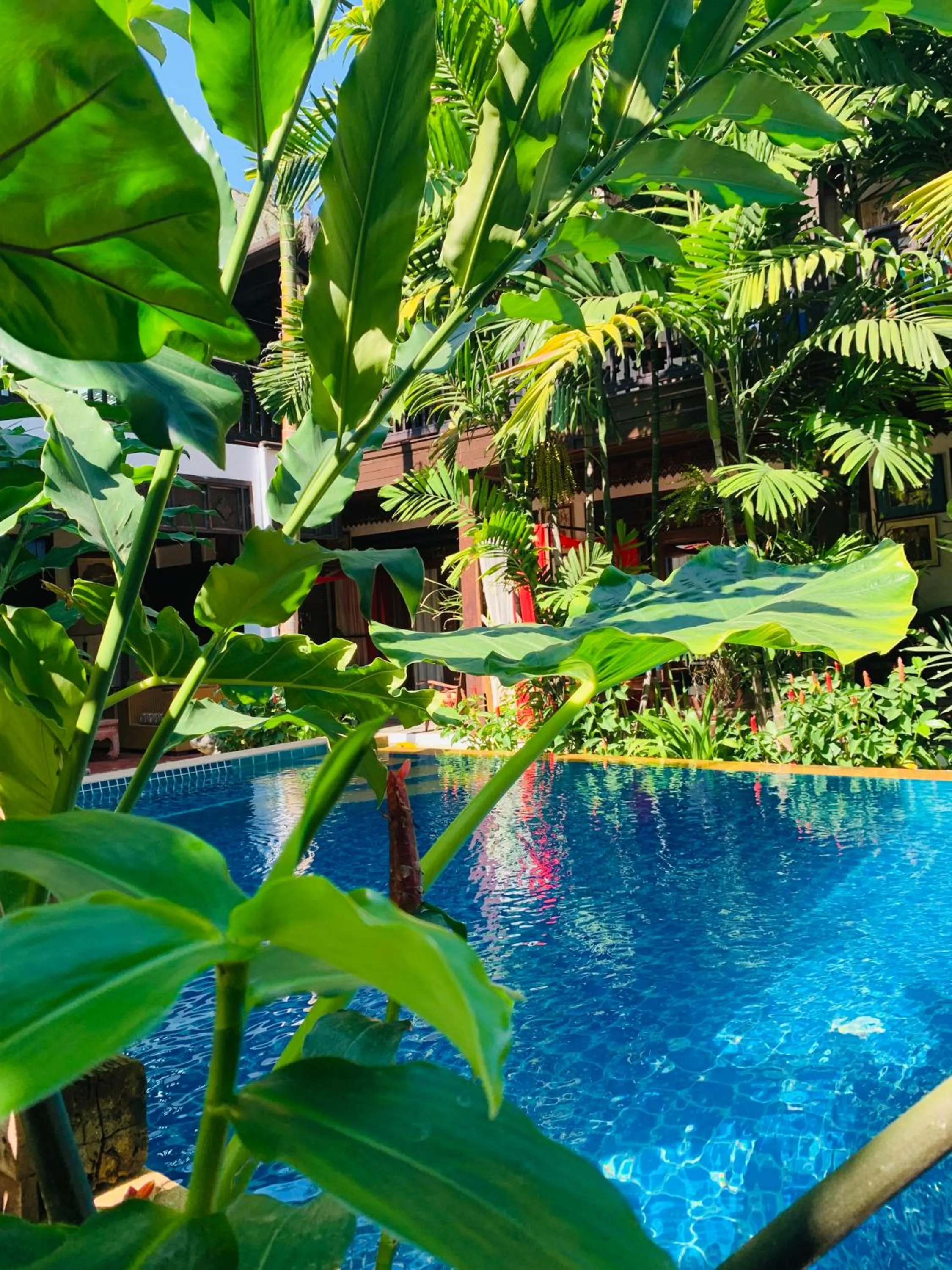 Pool view in Hongkhao Village