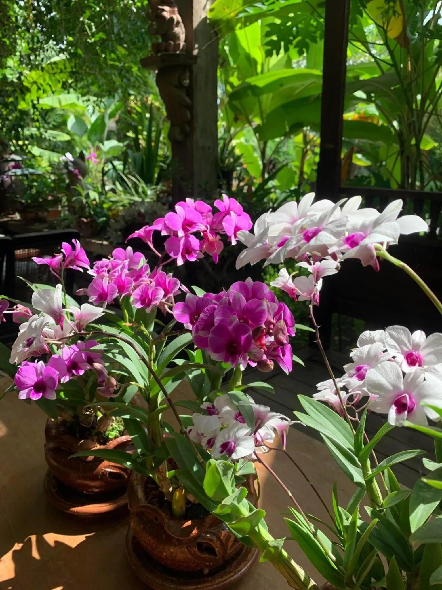 Spring in Hongkhao Village