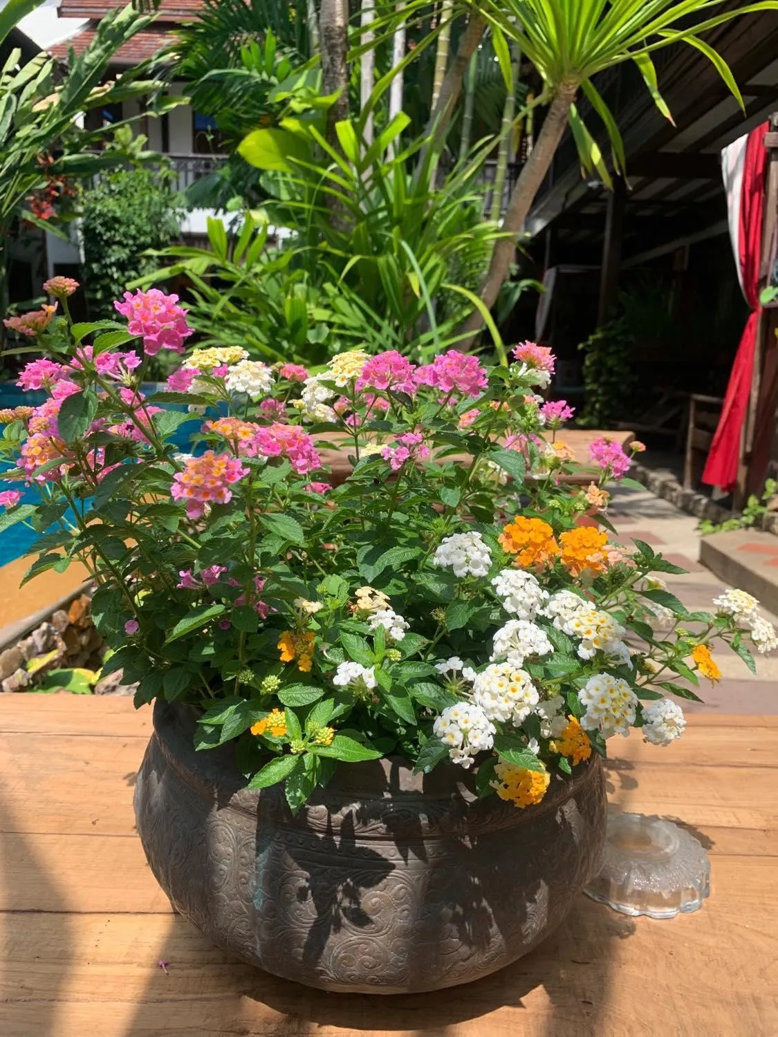 Garden in Hongkhao Village