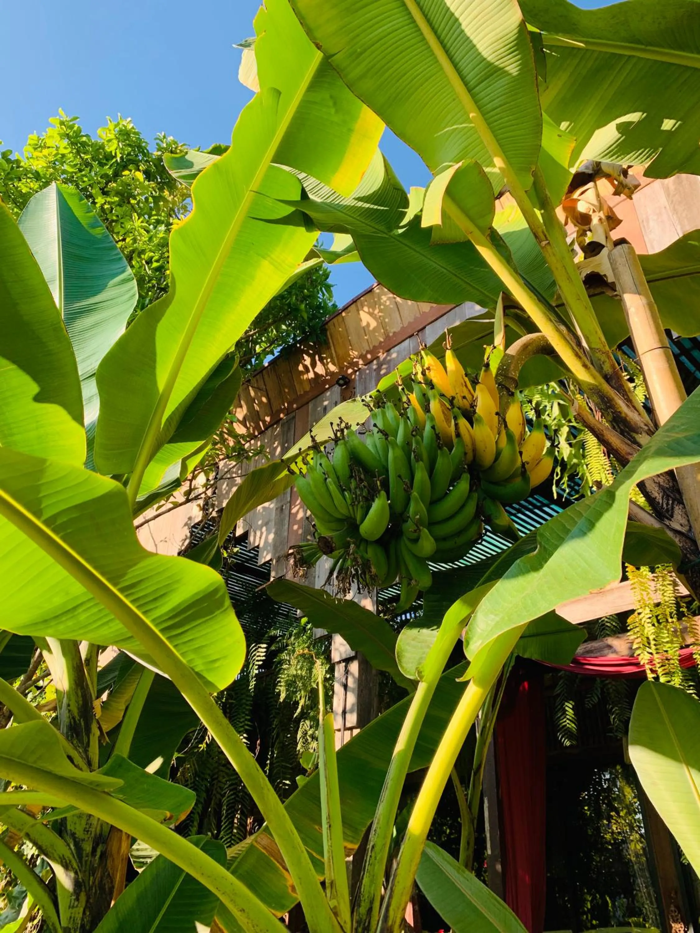 Spring in Hongkhao Village