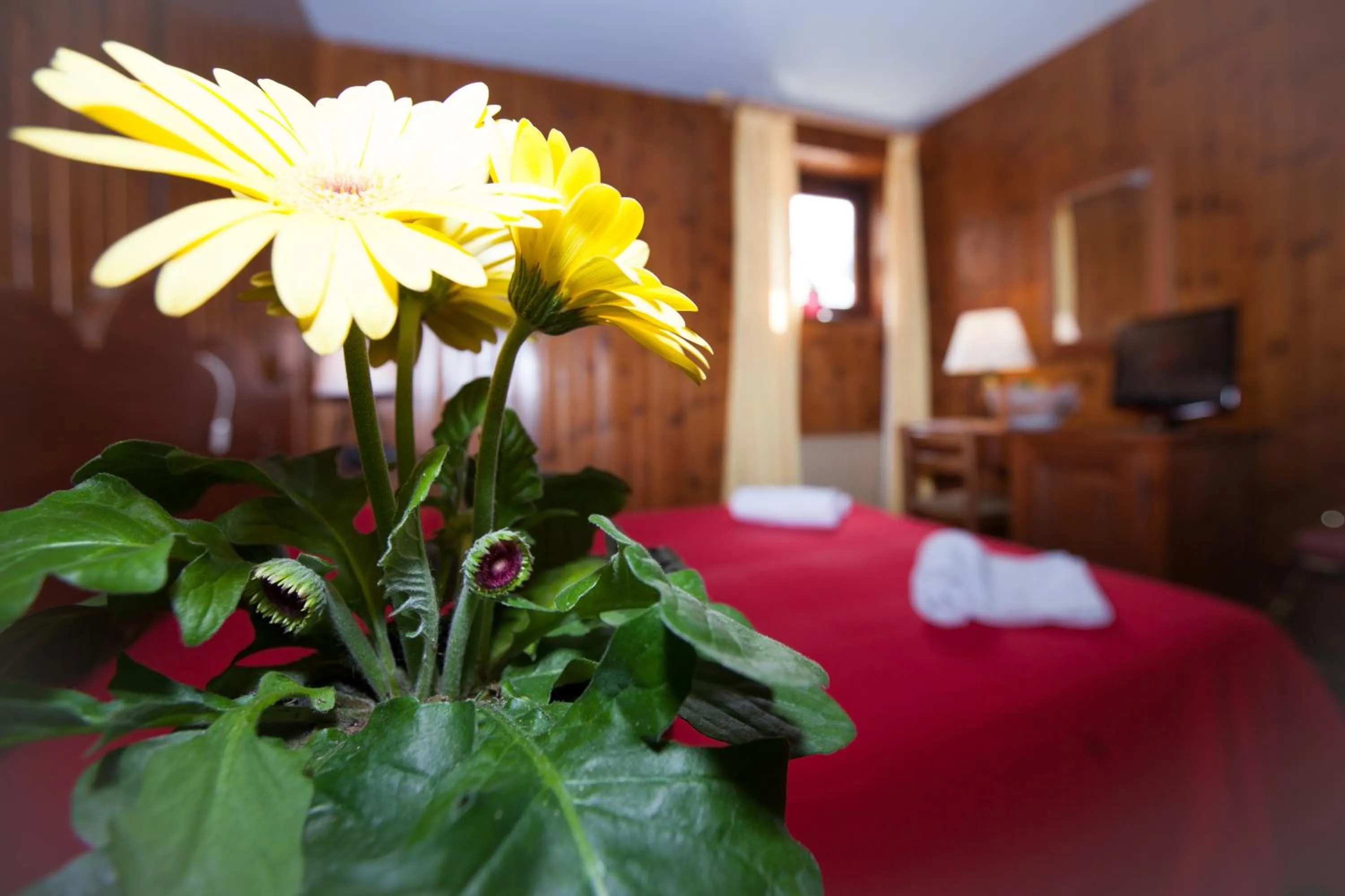 Bed in Club Esse Pila 2000