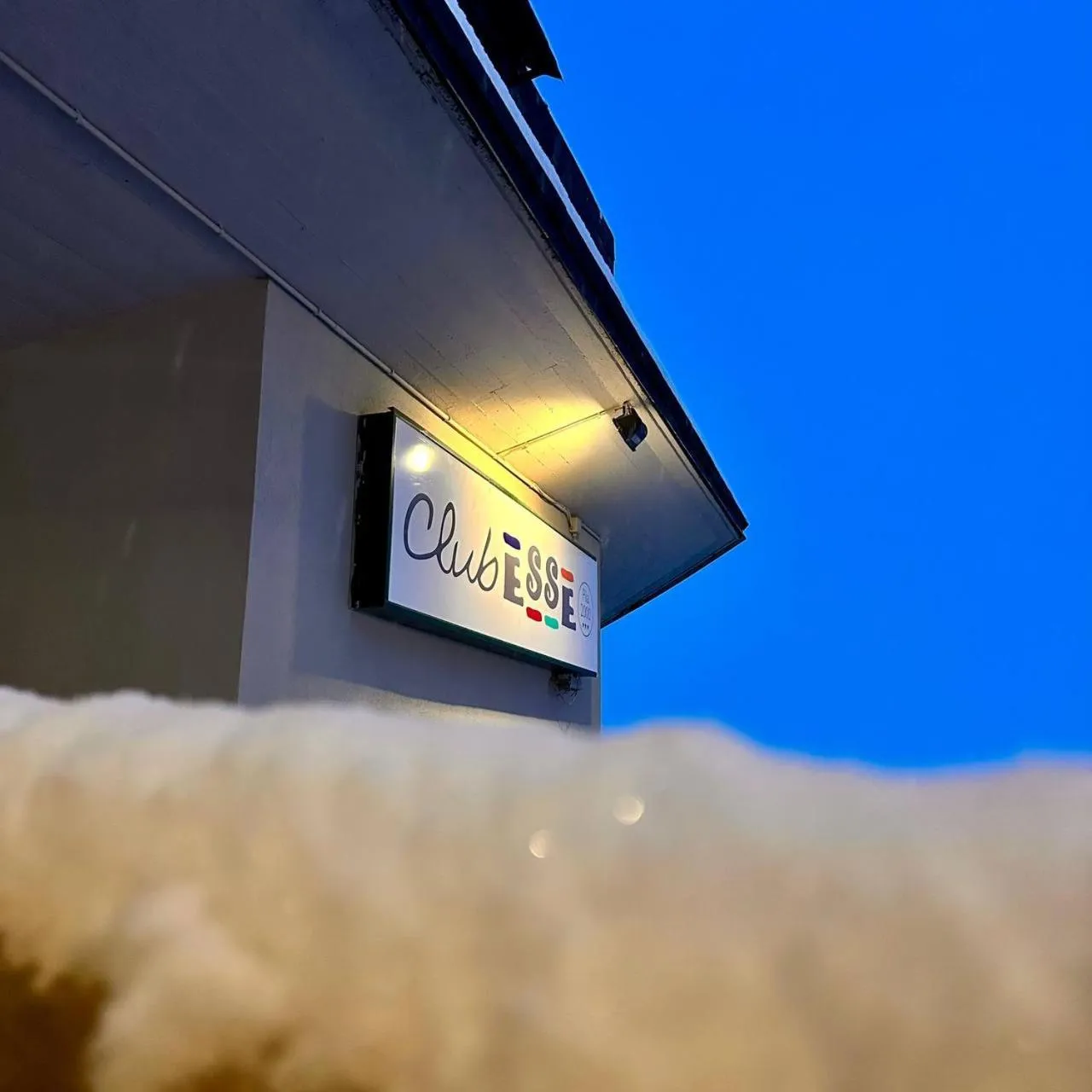 Property building in Club Esse Pila 2000