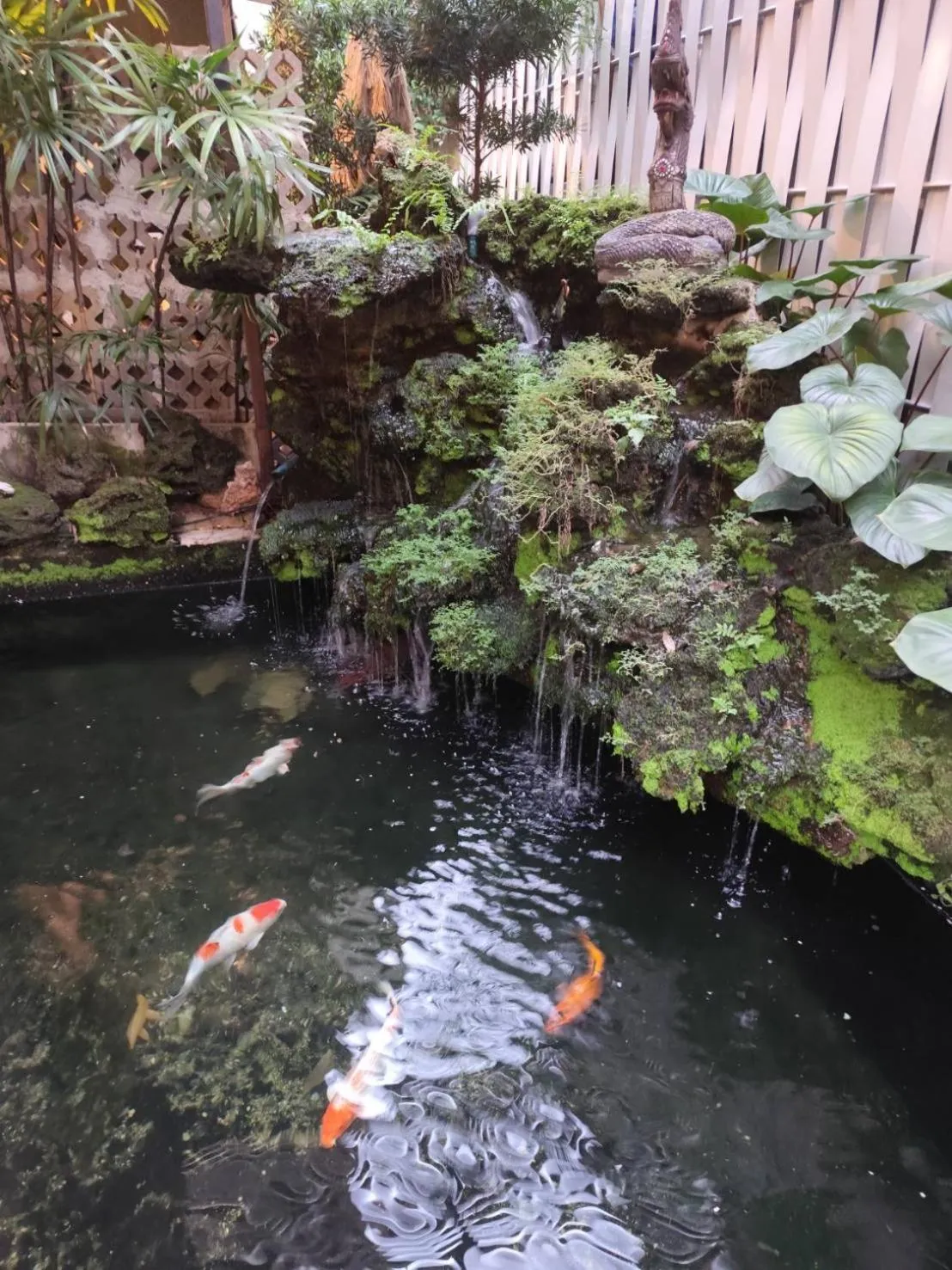 Garden in Nest by Sangob