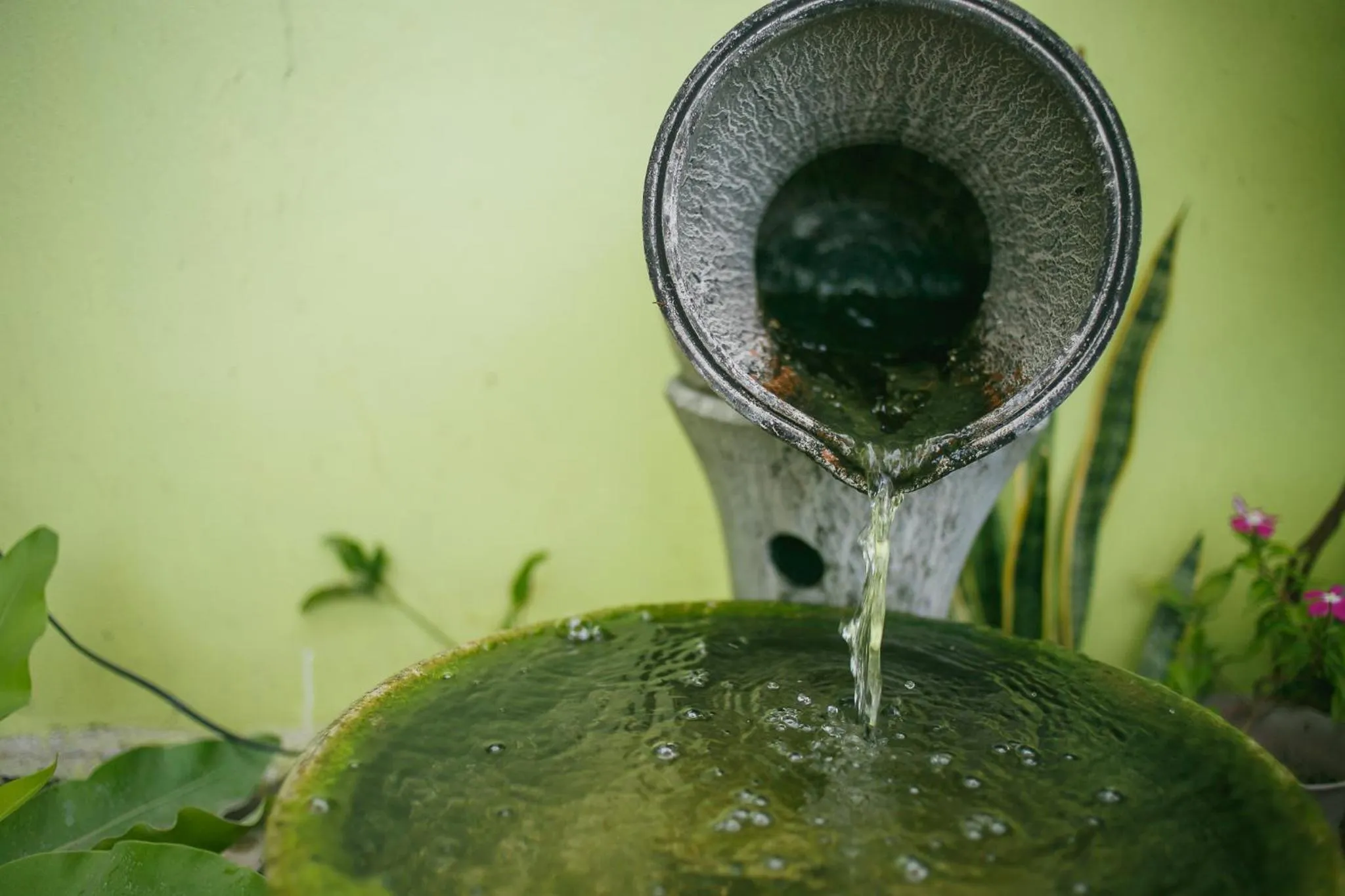 Garden in Malai Place Lampang