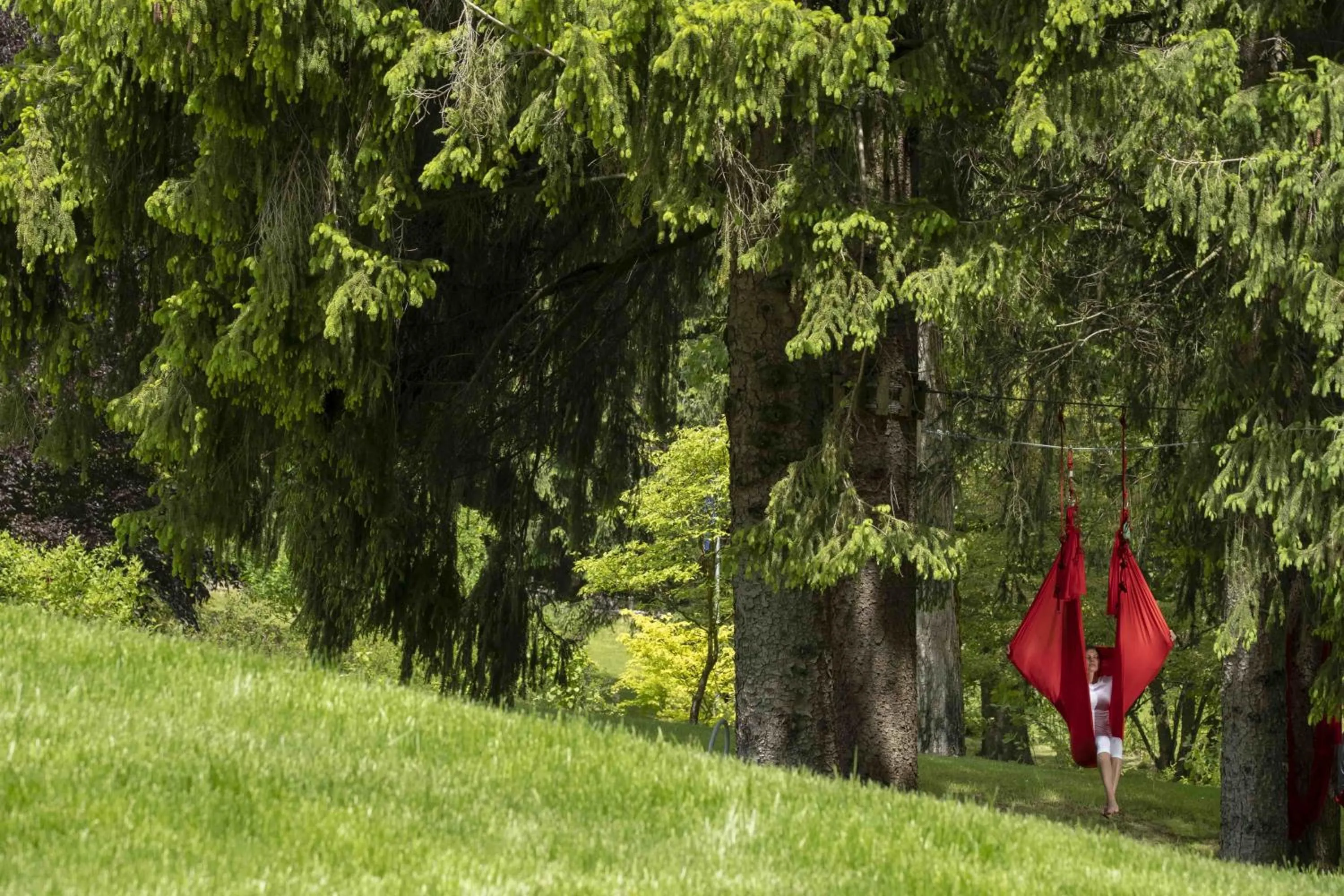 Natural landscape in Grand Hotel Terme Di Comano