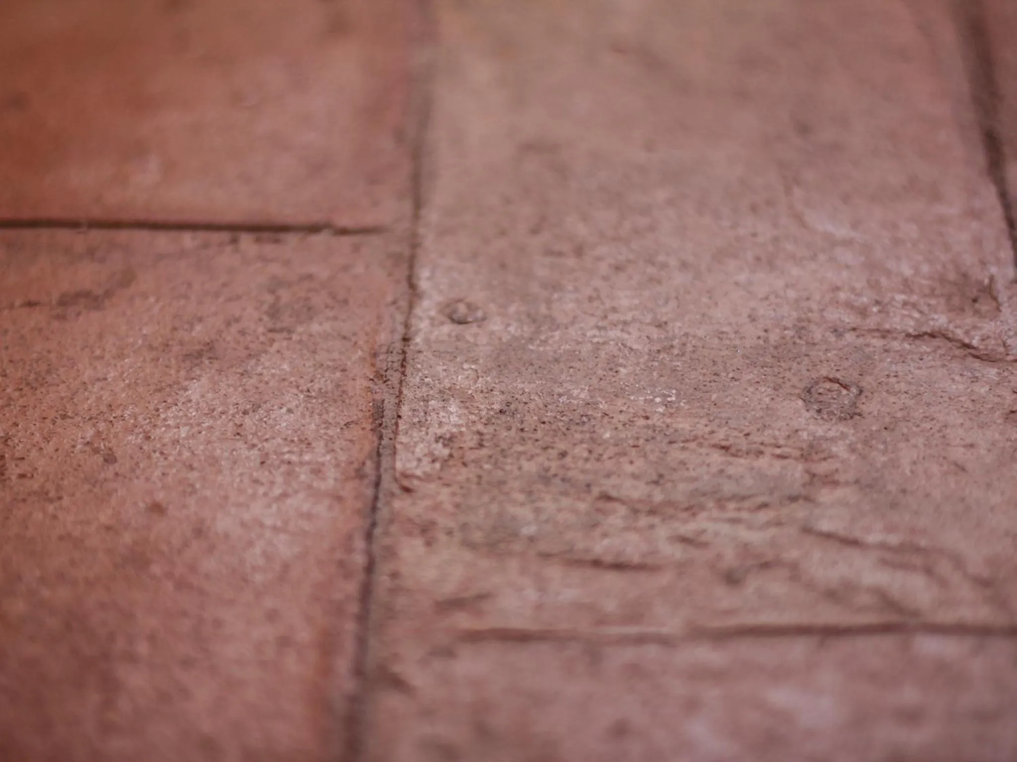 Decorative detail in Casa Isolani Charms Rooms Santo Stefano