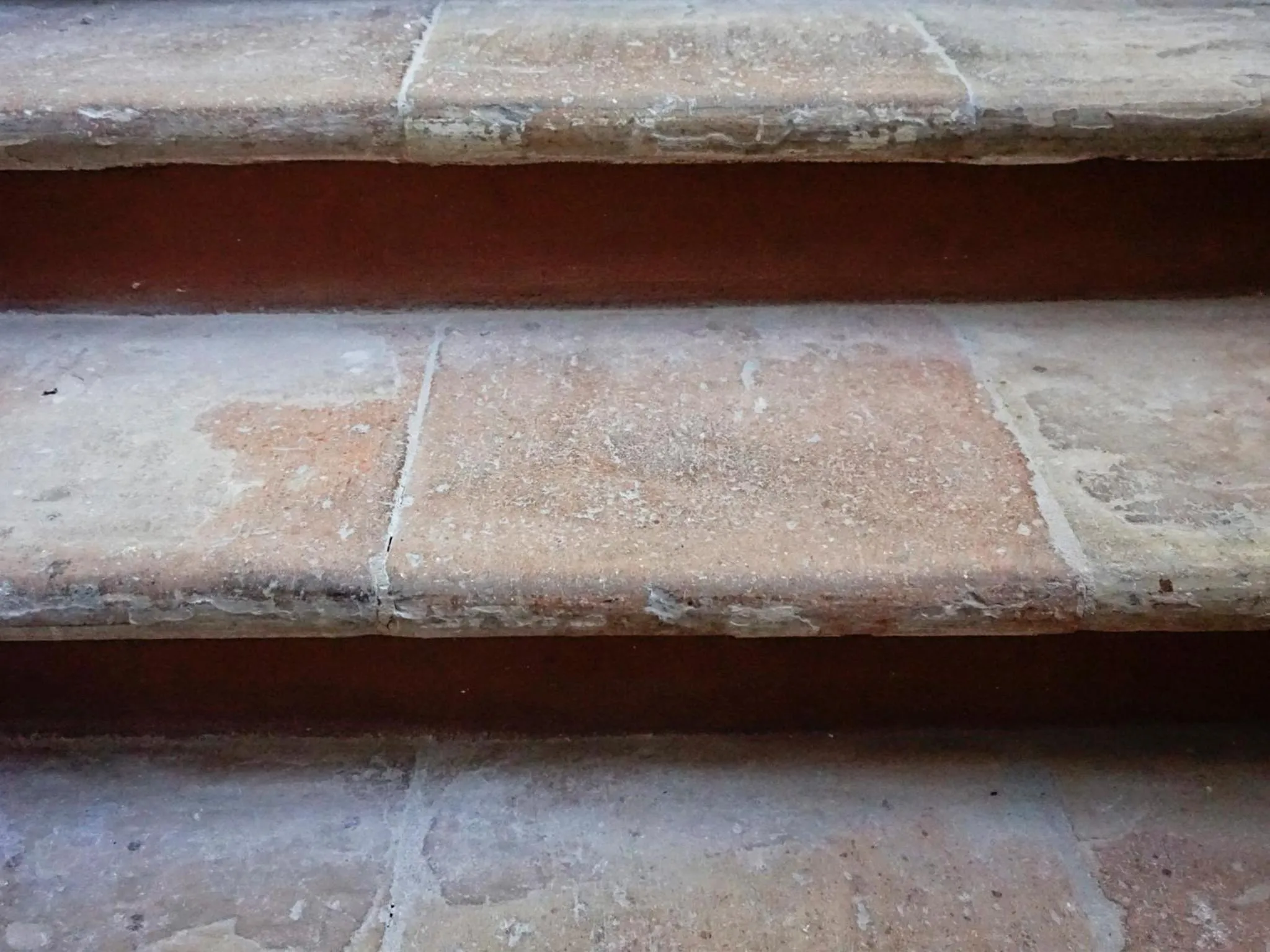 Other in Casa Isolani Charms Rooms Santo Stefano