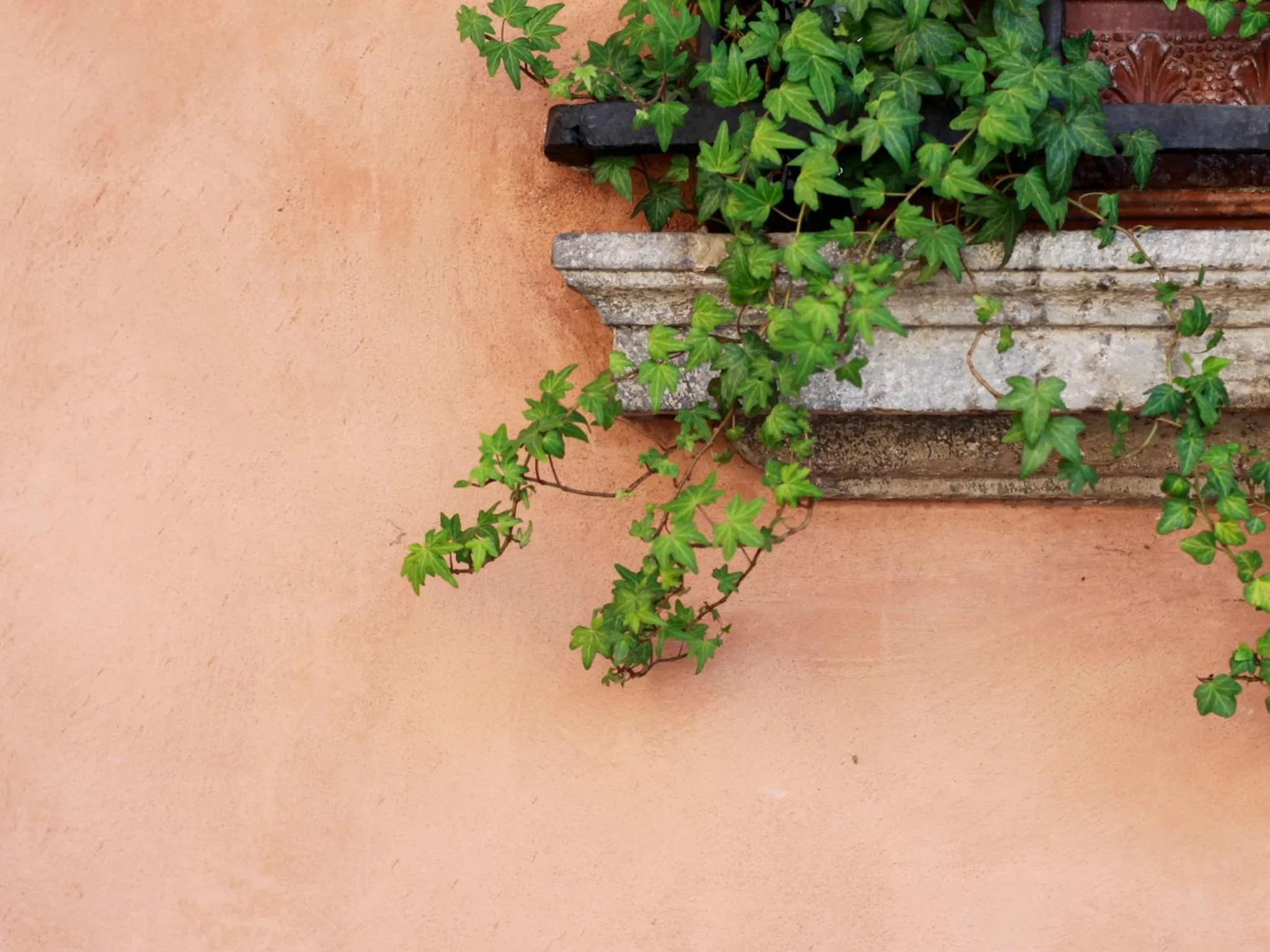 Other in Casa Isolani Charms Rooms Santo Stefano