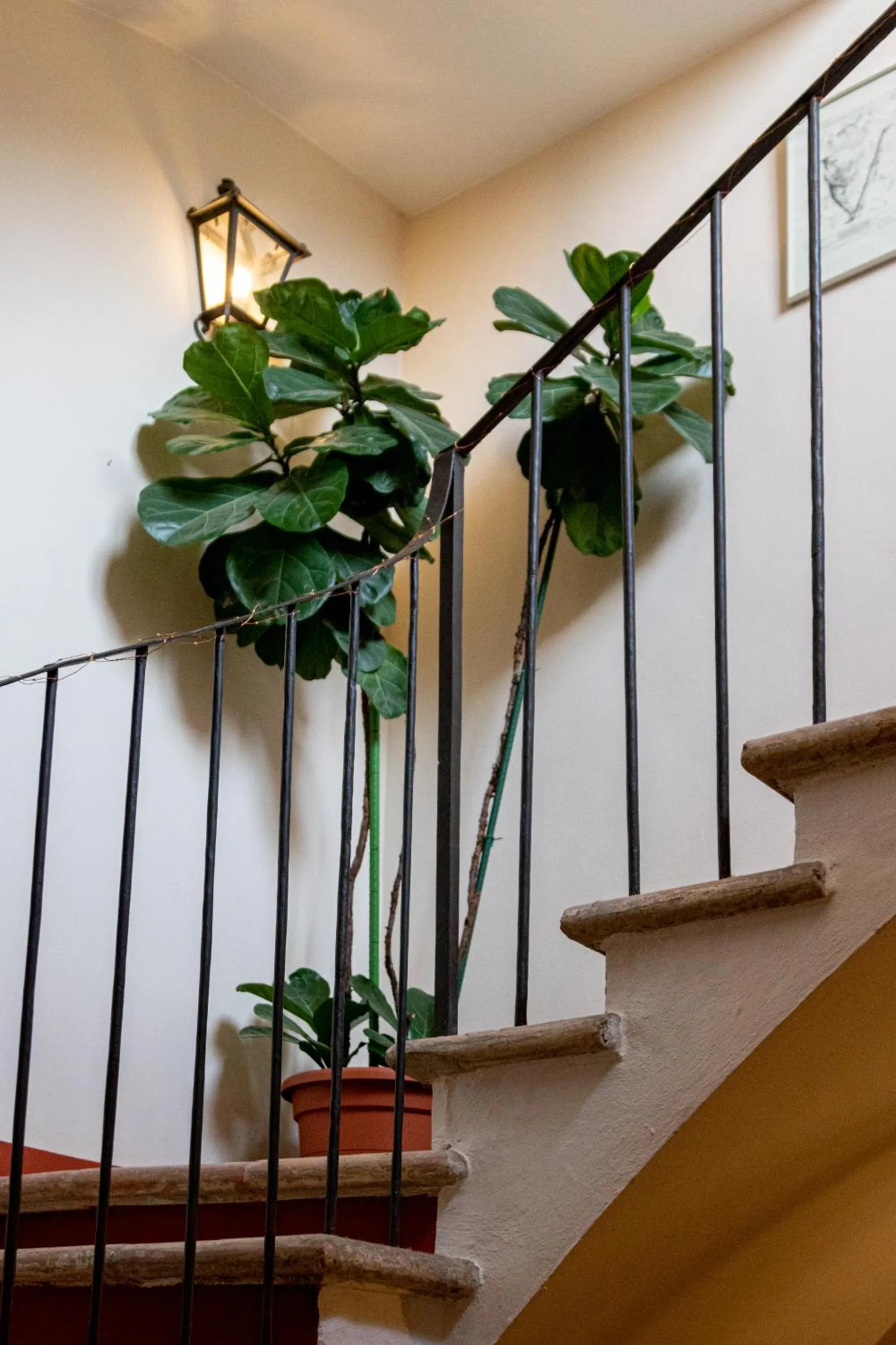 Casa Isolani Charms Rooms Santo Stefano