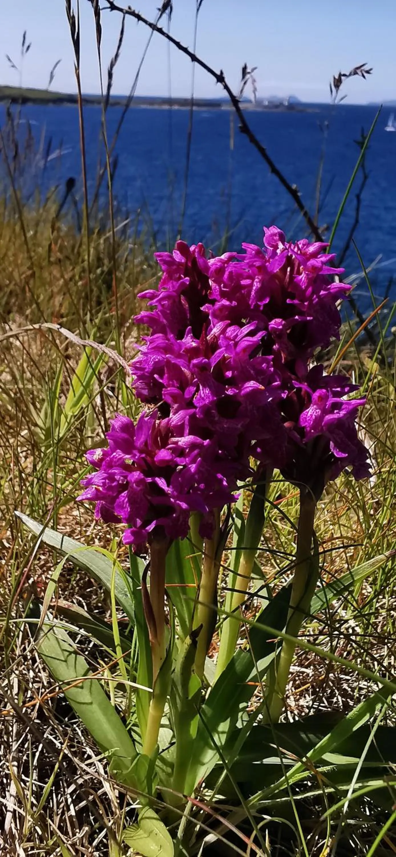 Horizon View Lodge Bed and Breakfast Glanleam Road Knightstown Valentia Island County Kerry V23 W447 Ireland